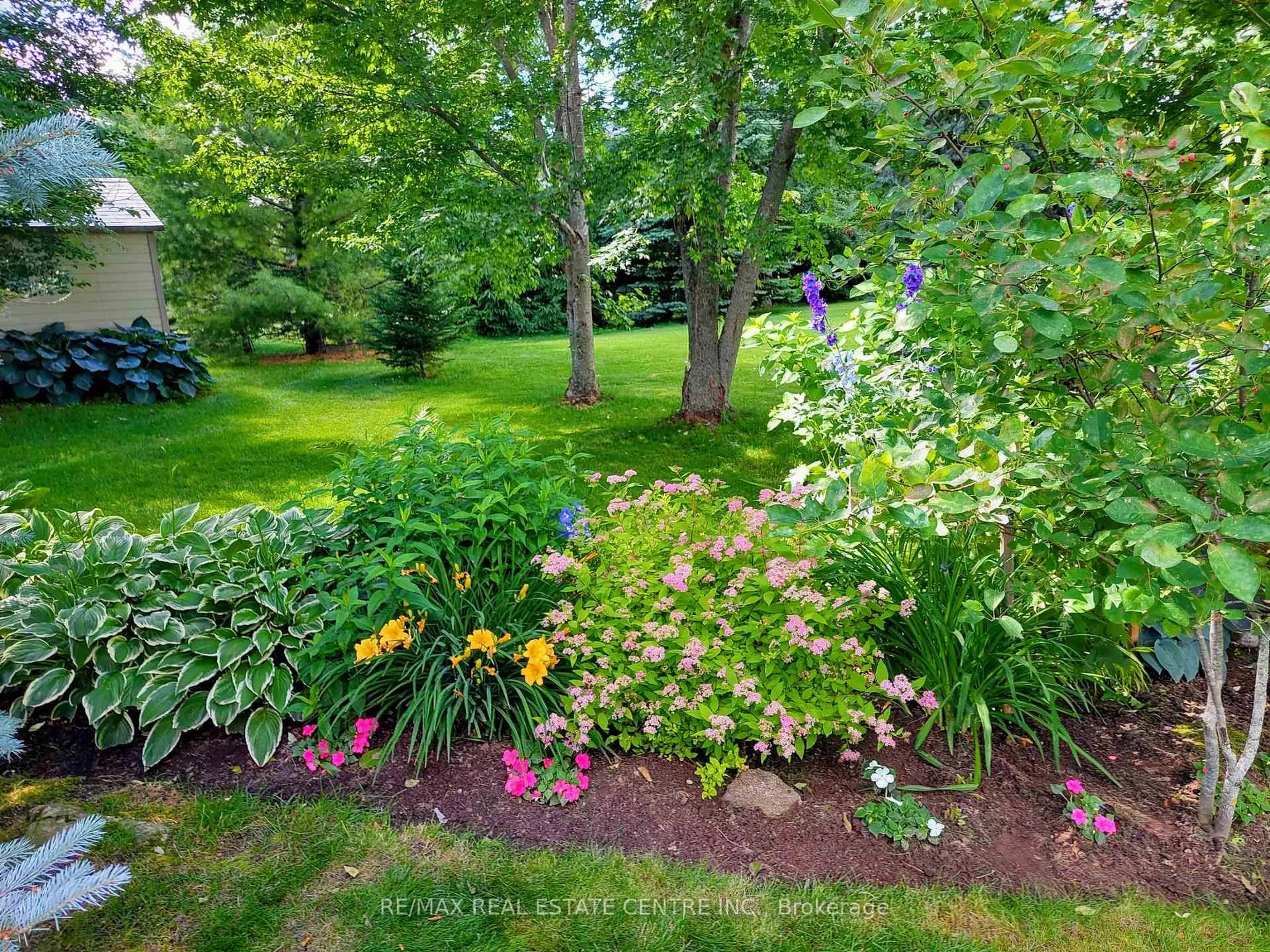 A pic from outside/outdoor area/front of a property/back of a property/a pic from drone, forest/trees view for 40 Brookhaven Cres, East Garafraxa Ontario L9W 7M9