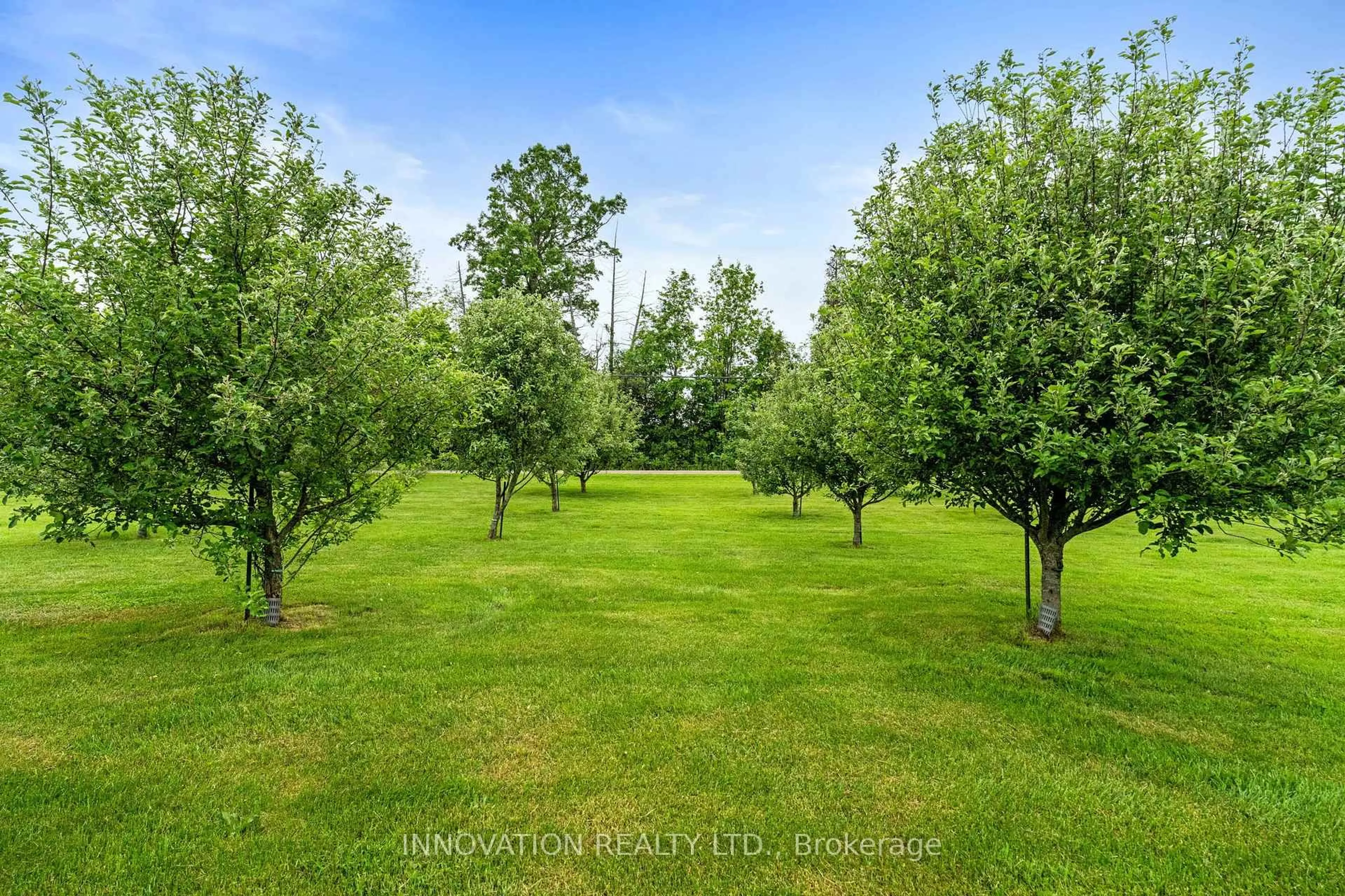 A pic from outside/outdoor area/front of a property/back of a property/a pic from drone, forest/trees view for 9501 Kyle Rd, Augusta Ontario K0G 1R0