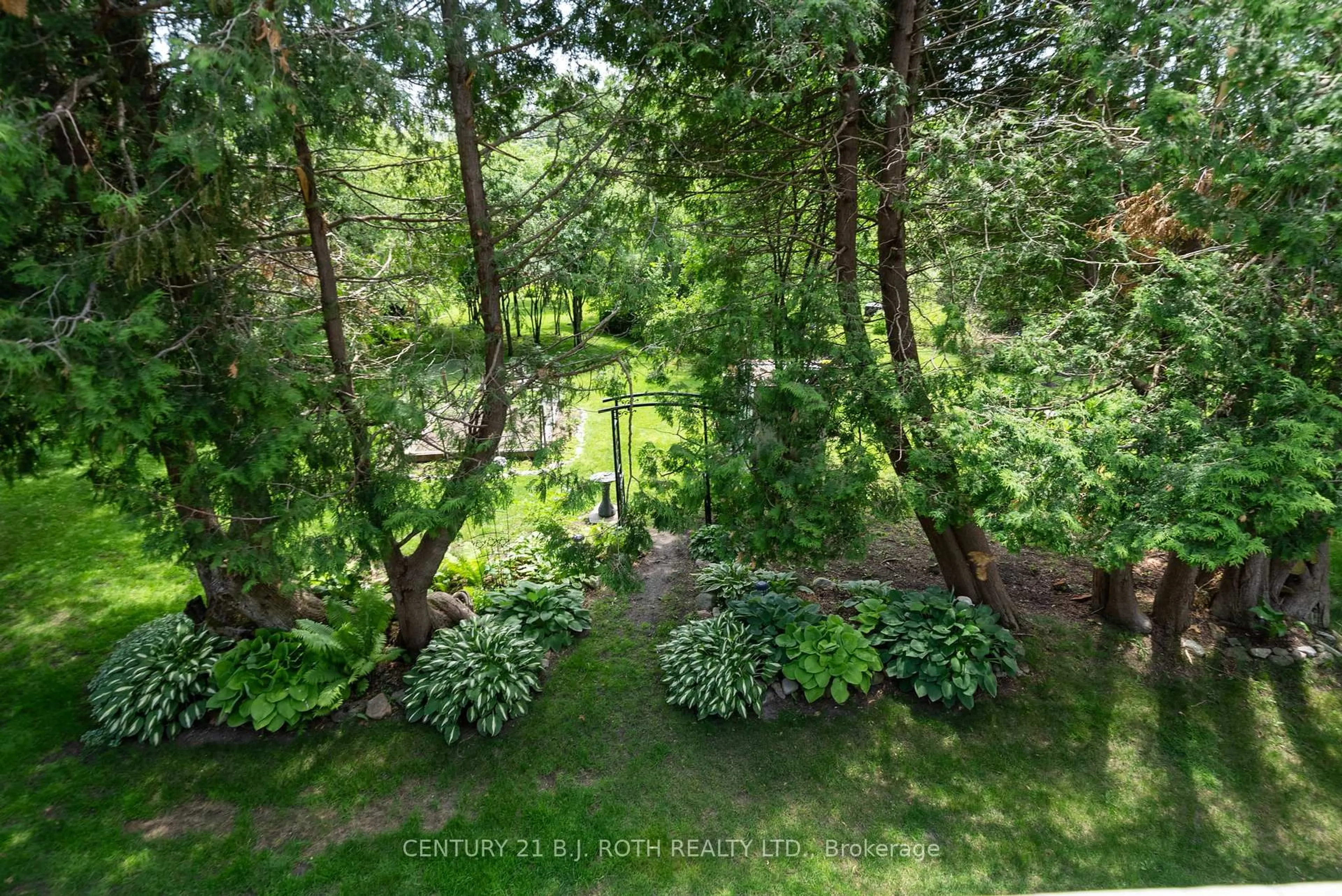 A pic from outside/outdoor area/front of a property/back of a property/a pic from drone, forest/trees view for 98 Laurent Blvd, Kawartha Lakes Ontario K9V 0G8