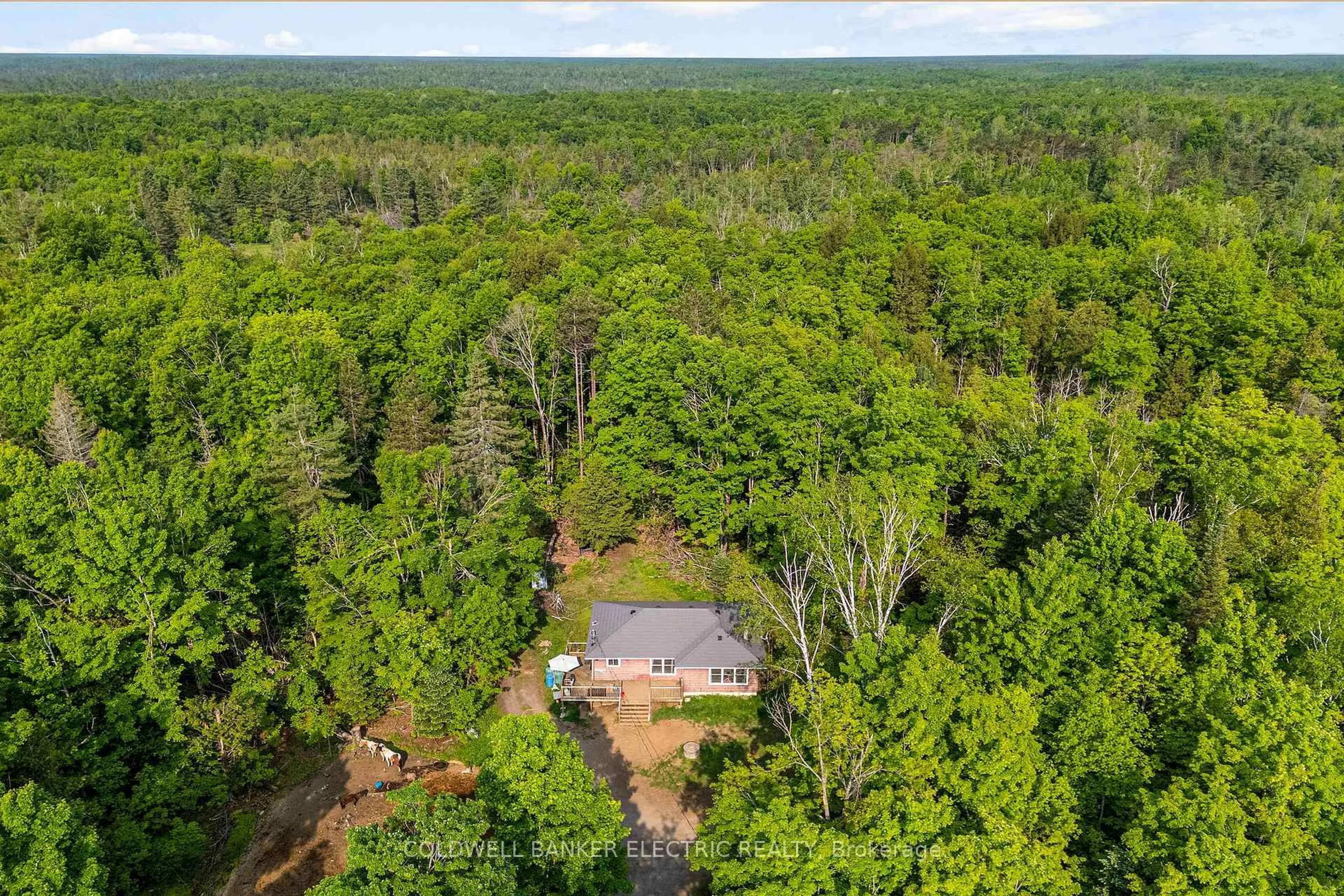 A pic from outside/outdoor area/front of a property/back of a property/a pic from drone, forest/trees view for 8248 County Road 46 Rd, Havelock-Belmont-Methuen Ontario K0L 1A0