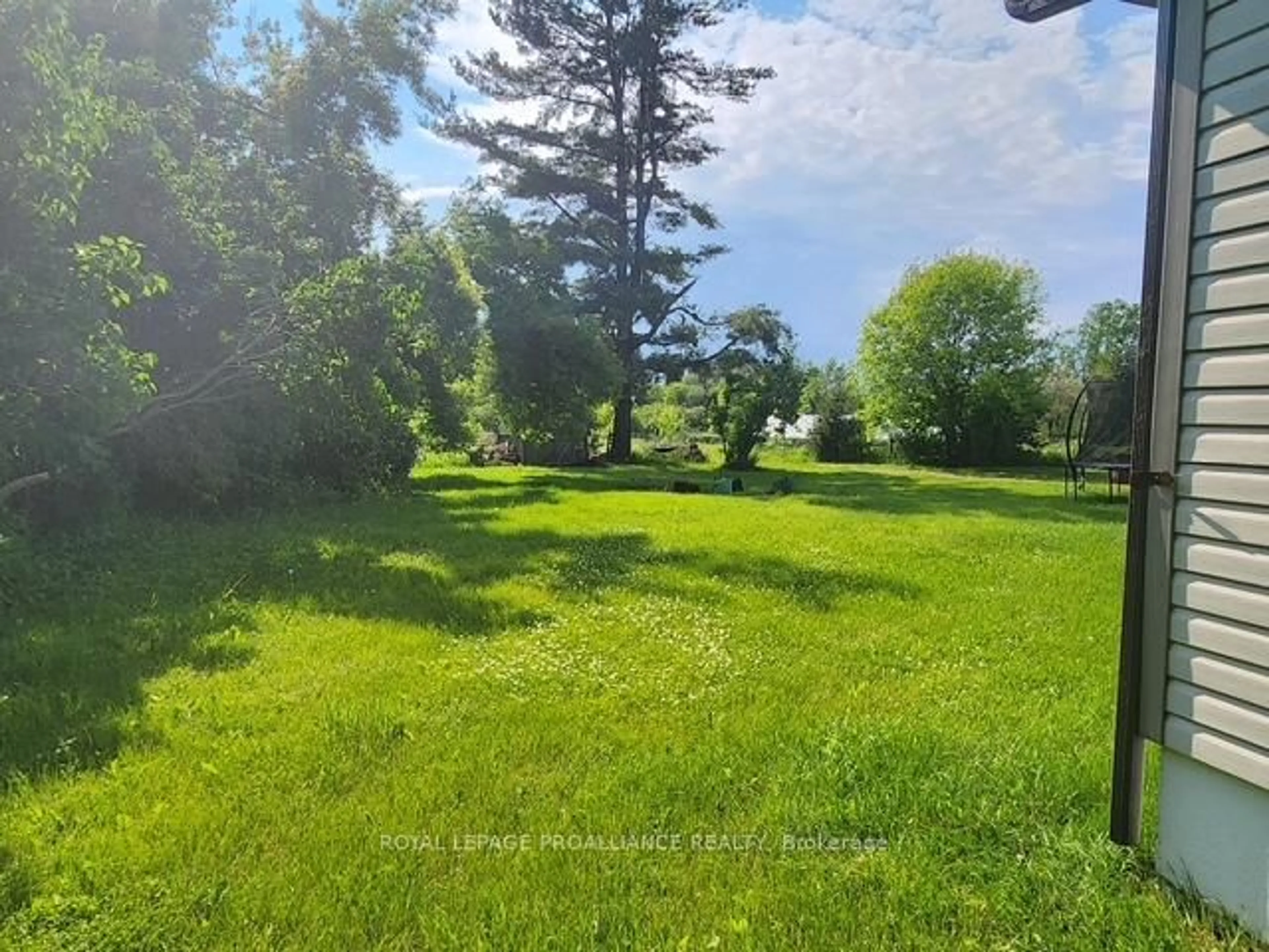 A pic from outside/outdoor area/front of a property/back of a property/a pic from drone, forest/trees view for 22208 Loyalist Pkwy, Quinte West Ontario K0K 1L0