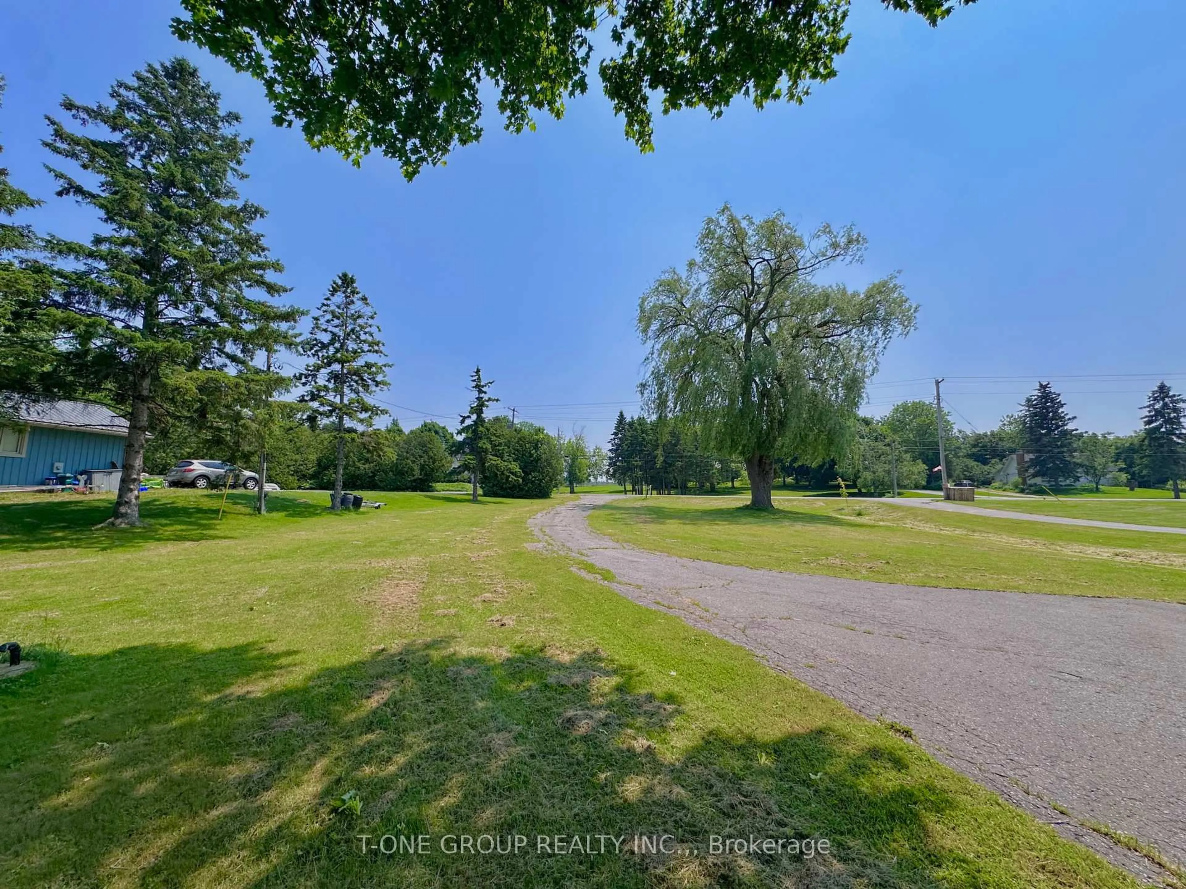 A pic from outside/outdoor area/front of a property/back of a property/a pic from drone, forest/trees view for 1724 County Road 3, Prince Edward County Ontario K0K 1L0