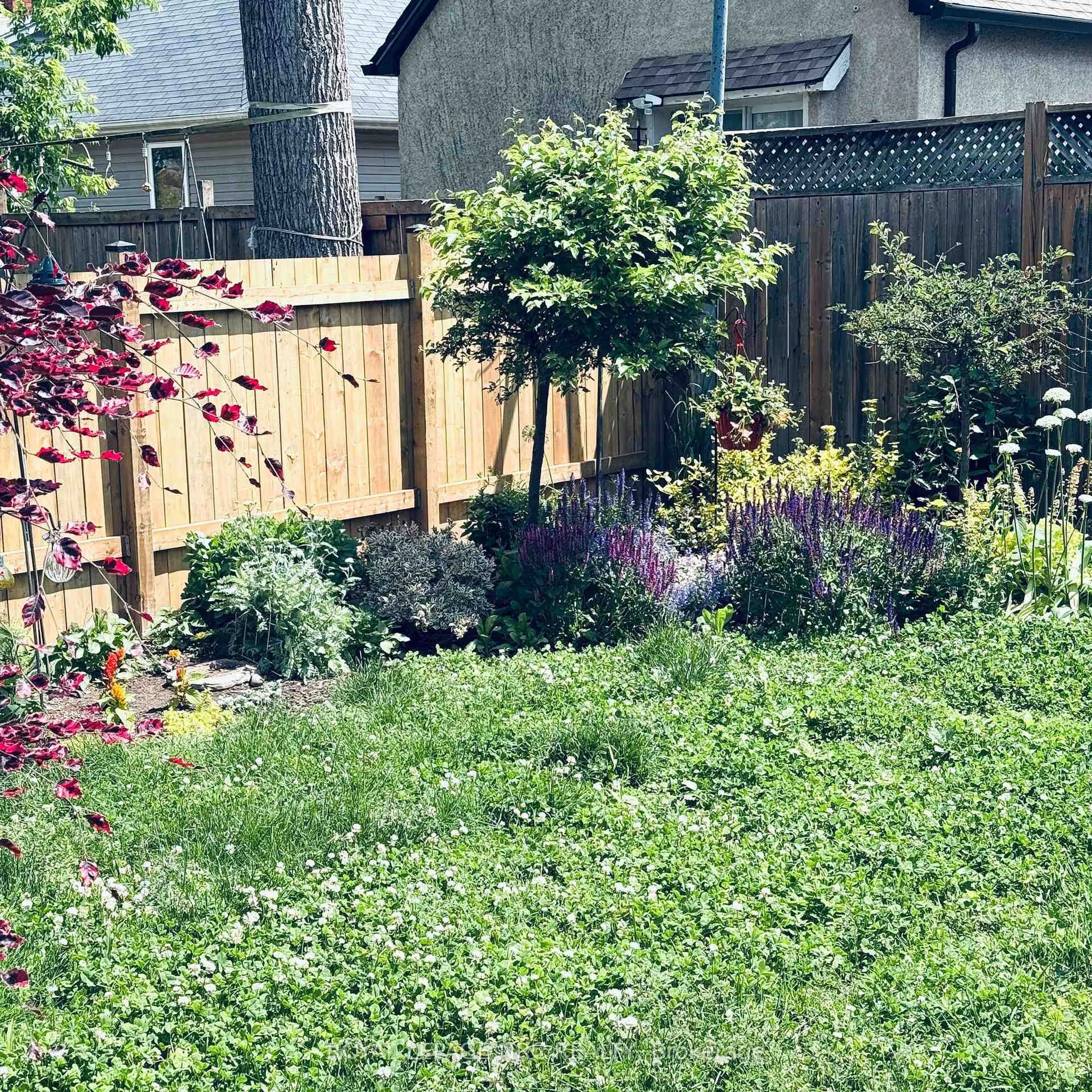 Patio, street for 16 Mcghie St, St. Catharines Ontario L2R 5H6