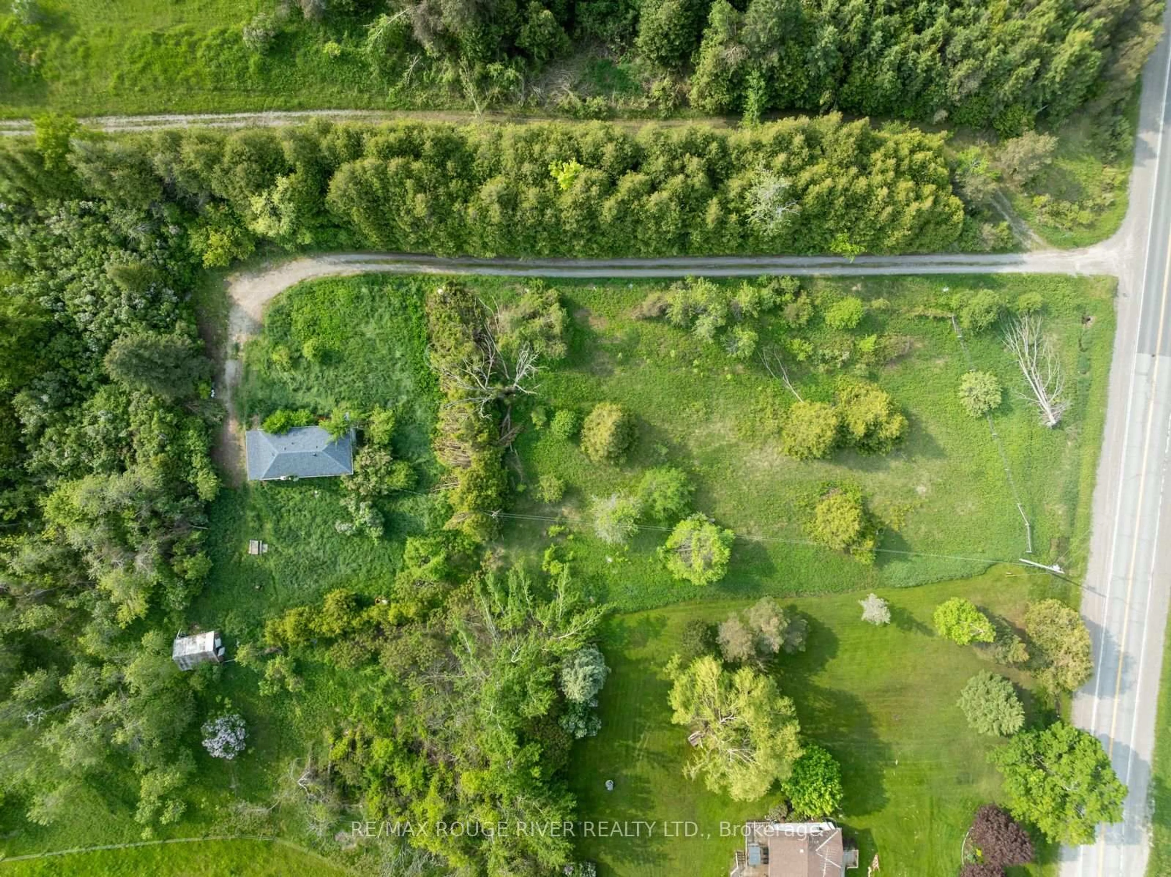A pic from outside/outdoor area/front of a property/back of a property/a pic from drone, forest/trees view for 15 Capstick Rd, Kawartha Lakes Ontario L0A 1A0
