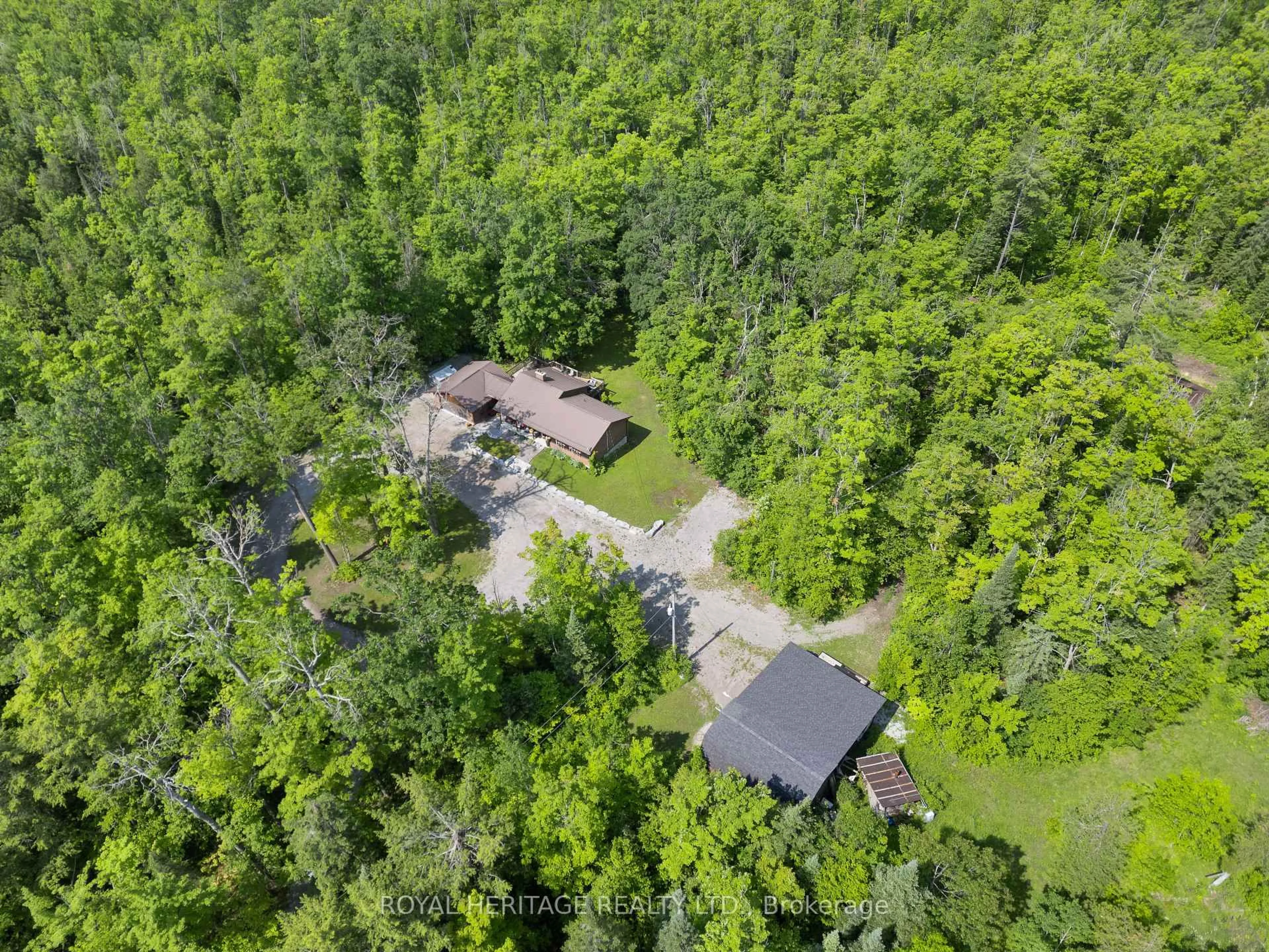 A pic from outside/outdoor area/front of a property/back of a property/a pic from drone, forest/trees view for 65 Bessie Ave, Trent Lakes Ontario K0M 1A0