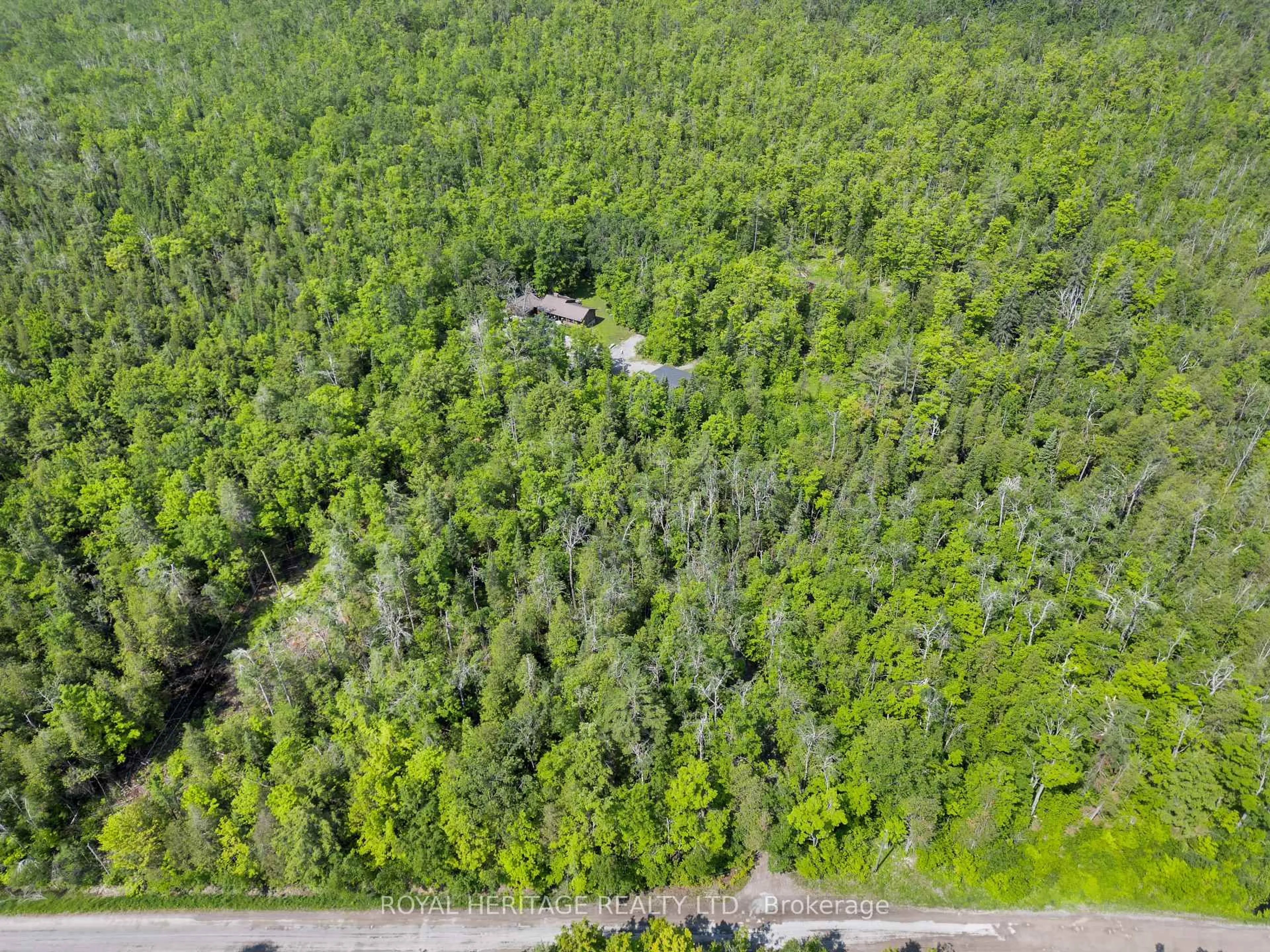 A pic from outside/outdoor area/front of a property/back of a property/a pic from drone, forest/trees view for 65 Bessie Ave, Trent Lakes Ontario K0M 1A0