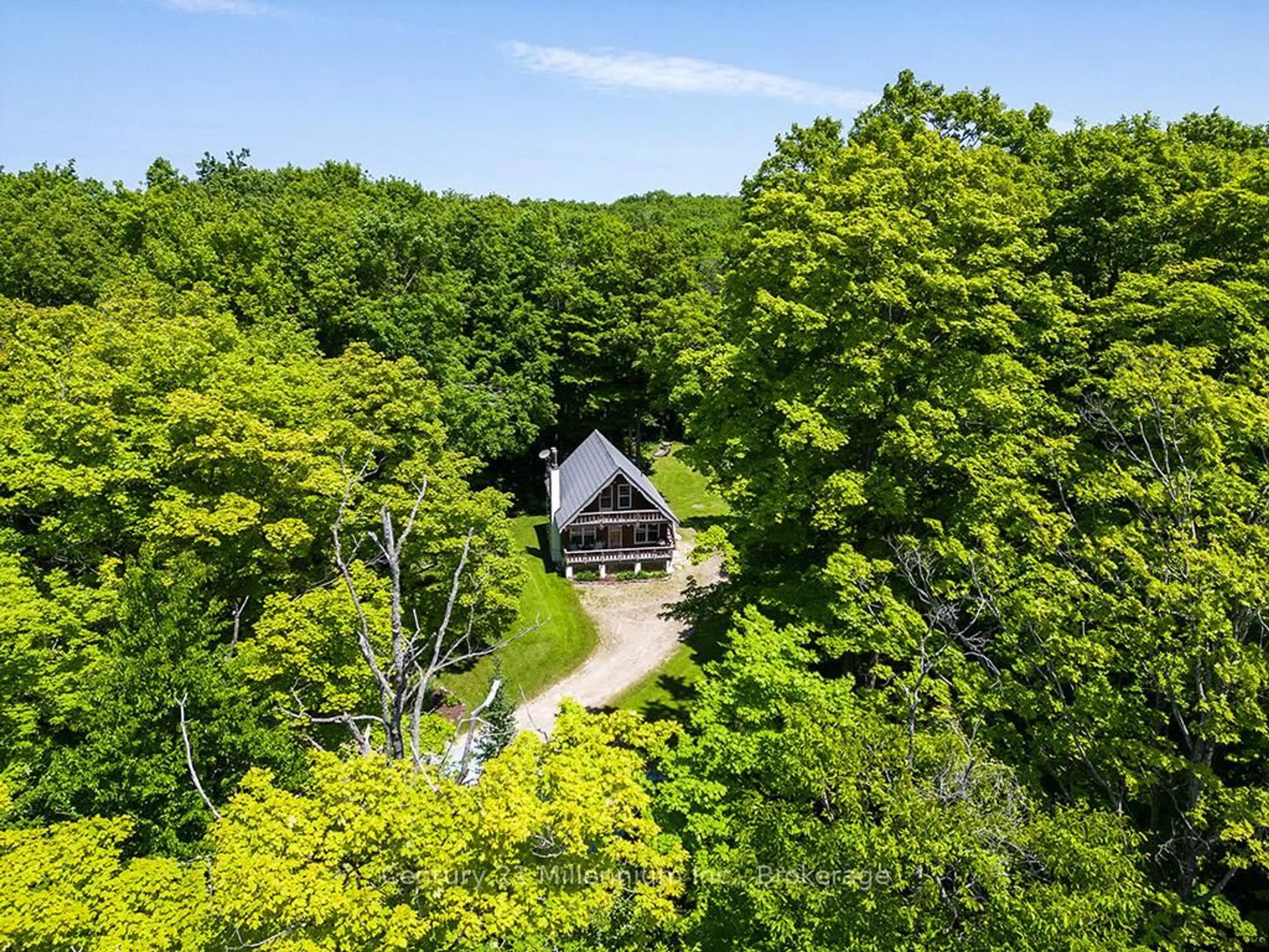 A pic from outside/outdoor area/front of a property/back of a property/a pic from drone, forest/trees view for 495115 Grey 2 Rd, Blue Mountains Ontario N0H 2E0