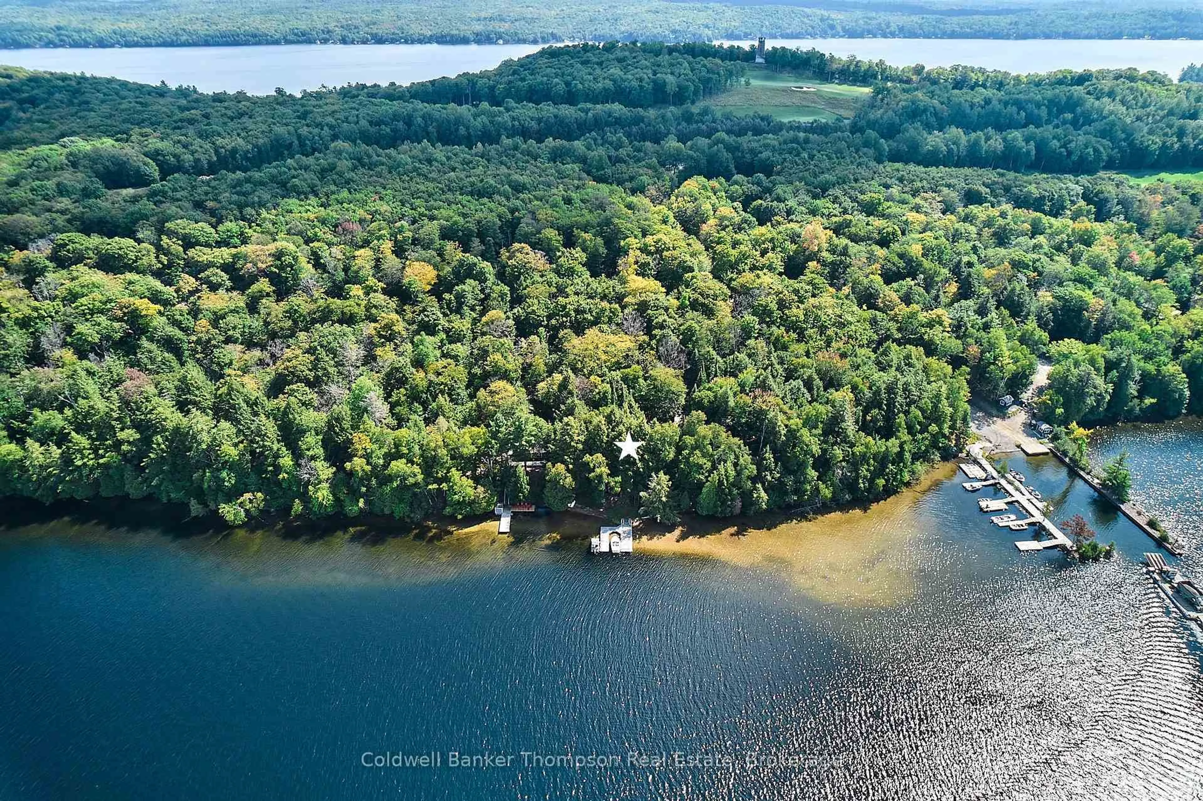 A pic from outside/outdoor area/front of a property/back of a property/a pic from drone, water/lake/river/ocean view for 232 BIGWIN Island, Lake of Bays Ontario P0B 1A0
