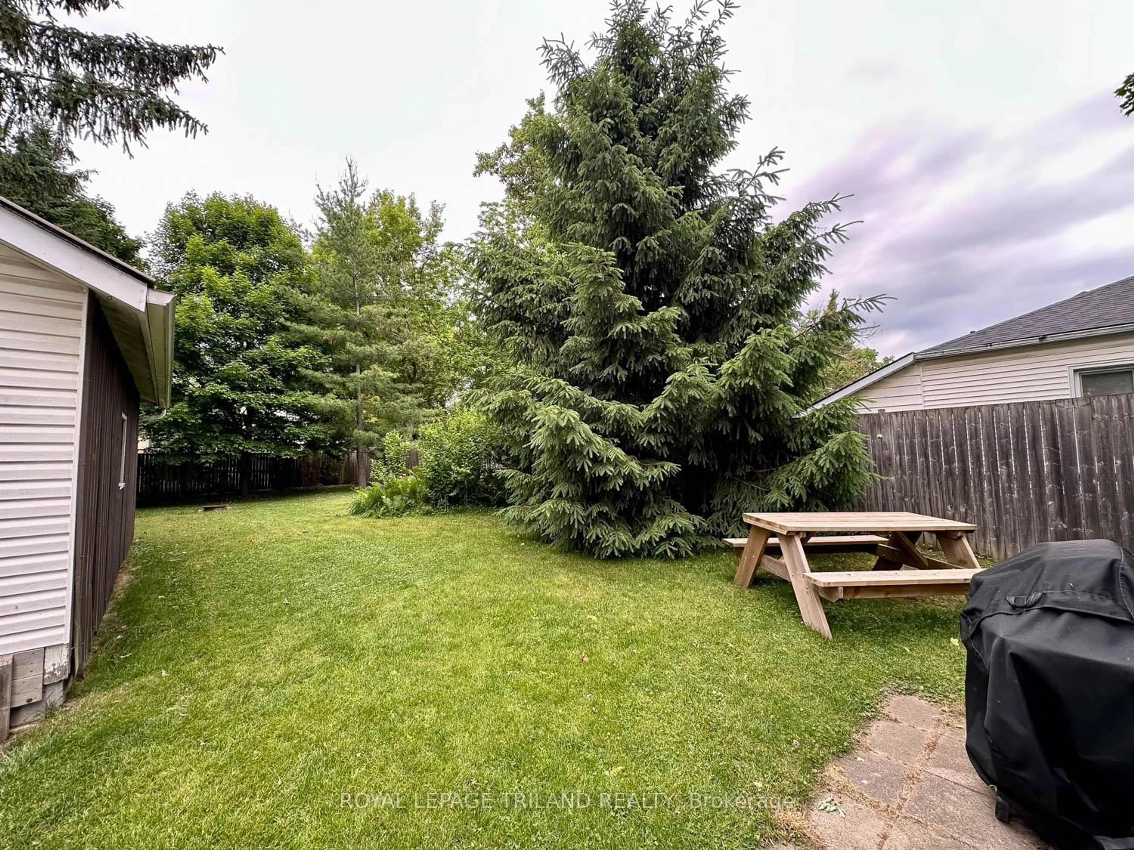 A pic from outside/outdoor area/front of a property/back of a property/a pic from drone, forest/trees view for 173 Centre St, Strathroy Caradoc Ontario N7G 1T3