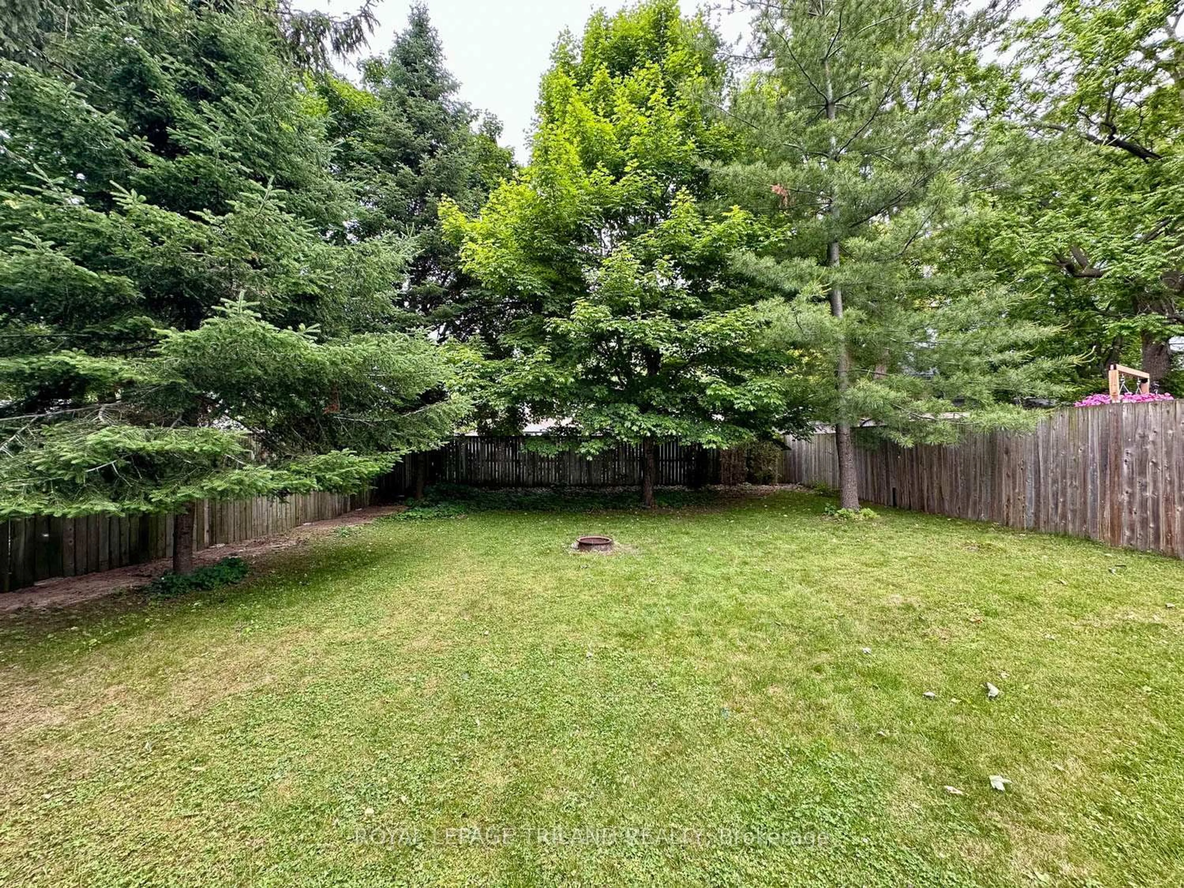 A pic from outside/outdoor area/front of a property/back of a property/a pic from drone, forest/trees view for 173 Centre St, Strathroy Caradoc Ontario N7G 1T3