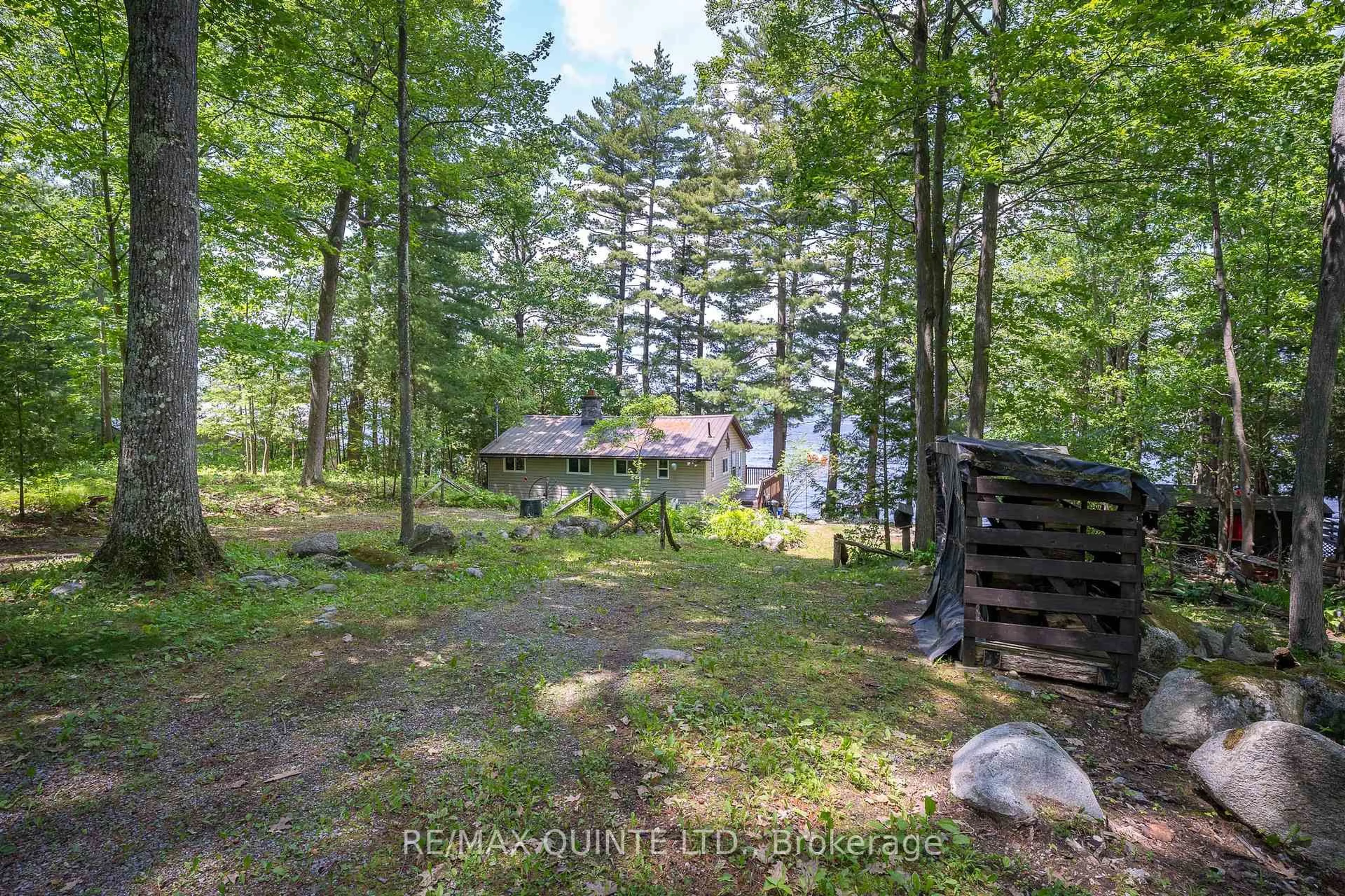 A pic from outside/outdoor area/front of a property/back of a property/a pic from drone, forest/trees view for 44 Setter Lane, Madoc Ontario K0K 2K0