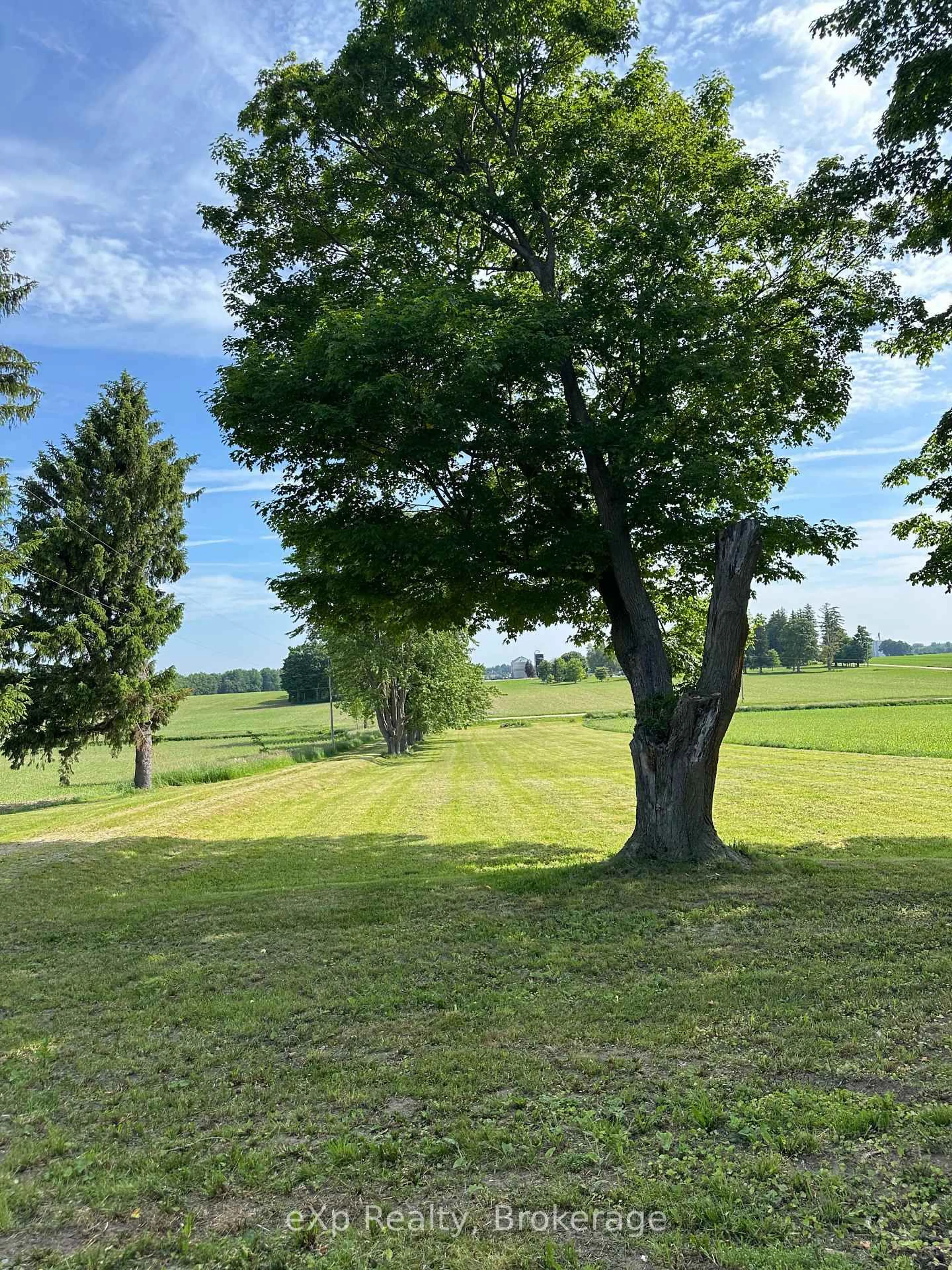 A pic from outside/outdoor area/front of a property/back of a property/a pic from drone, forest/trees view for 42217 Cranbrook Rd, Morris-Turnberry Ontario N0G 1H0