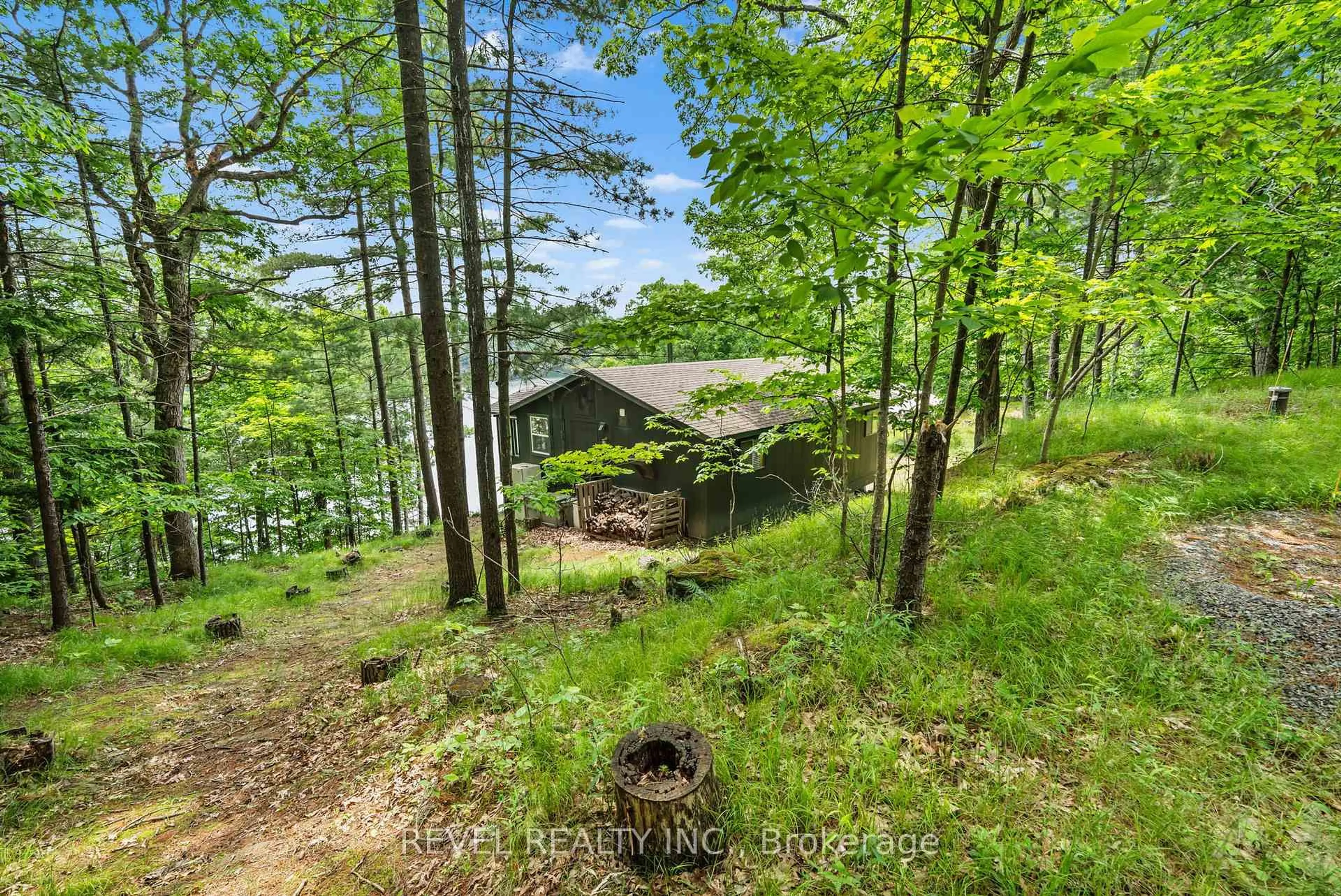 A pic from outside/outdoor area/front of a property/back of a property/a pic from drone, forest/trees view for 49 Sleepy Hollow Rd, Rideau Lakes Ontario K0G 1E0