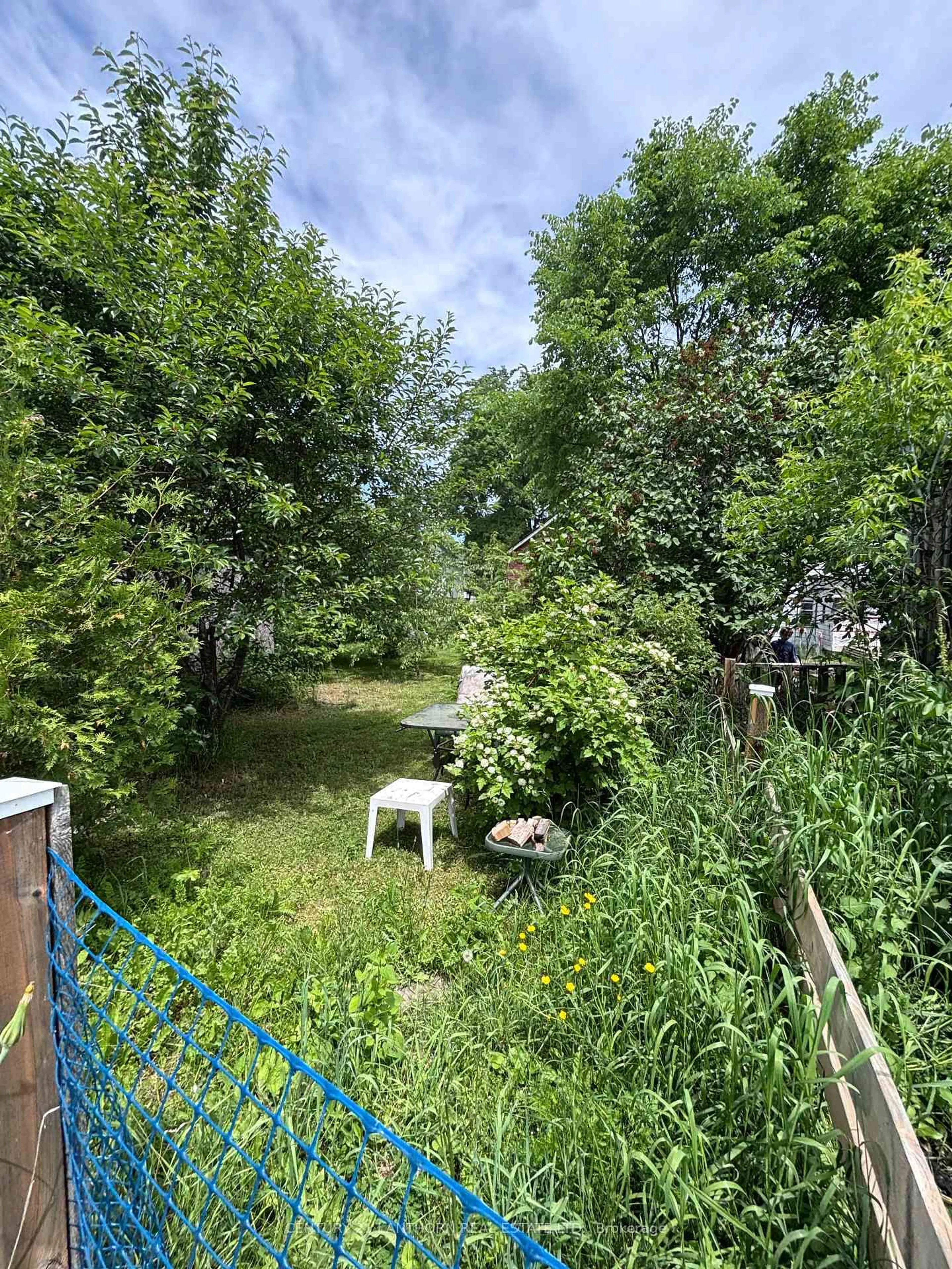 A pic from outside/outdoor area/front of a property/back of a property/a pic from drone, forest/trees view for 23 O'Brien St, Limoges Ontario K0K 2M0