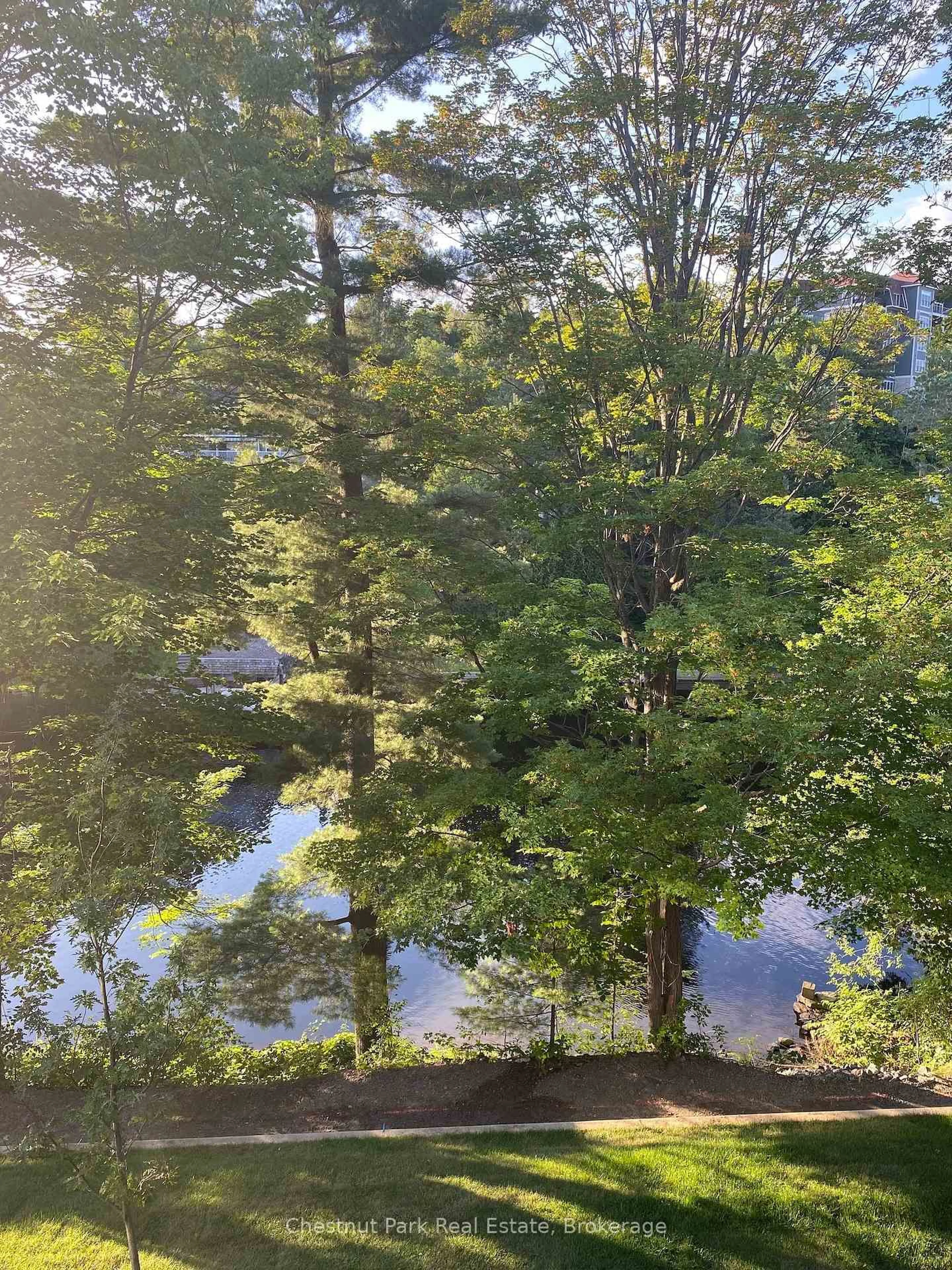 A pic from outside/outdoor area/front of a property/back of a property/a pic from drone, water/lake/river/ocean view for 404-200 ANGLO St, Bracebridge Ontario P1L 1G4