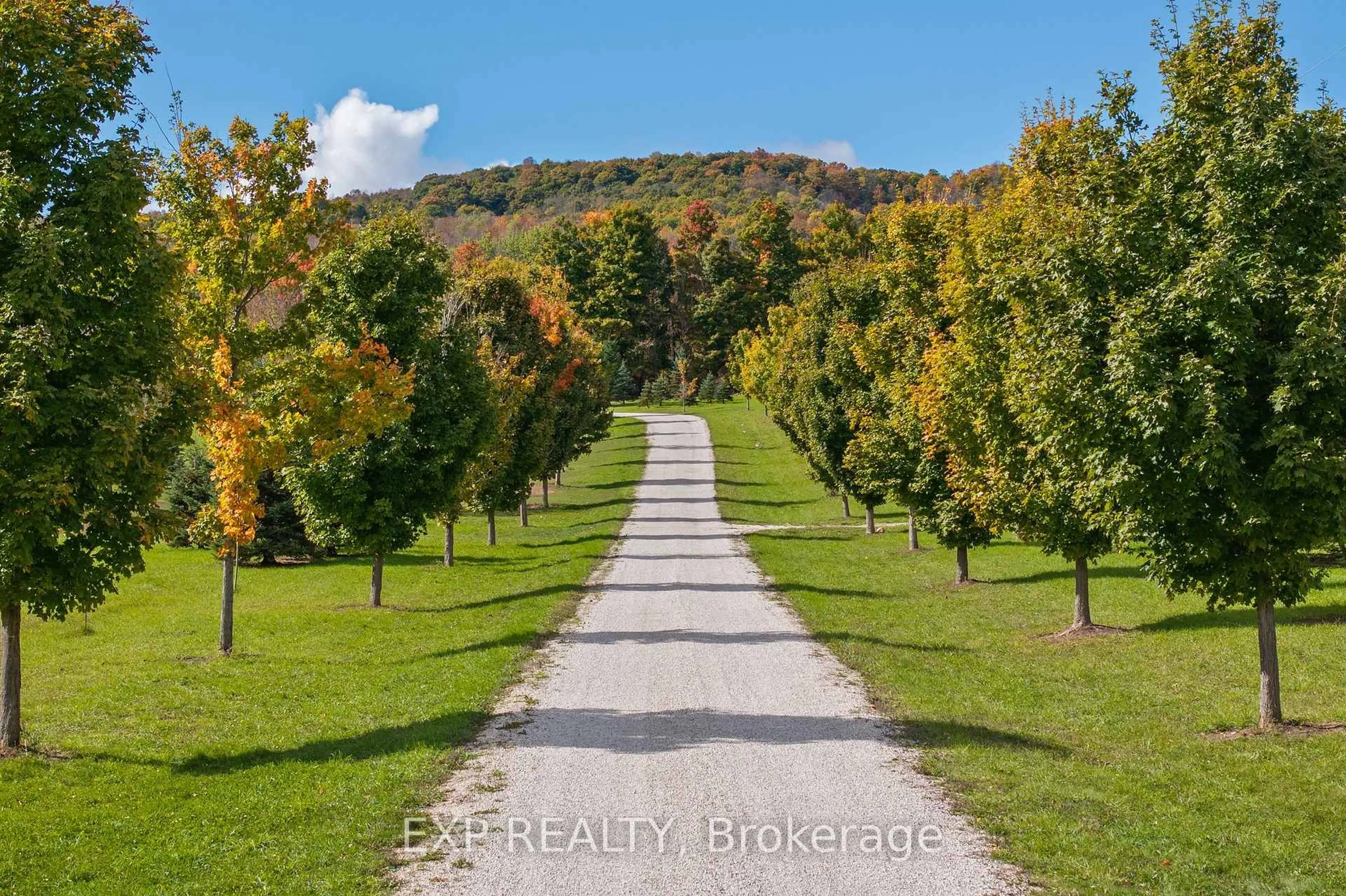 A pic from outside/outdoor area/front of a property/back of a property/a pic from drone, forest/trees view for 195718 Grey 7 Rd, Grey Highlands Ontario N0C 1G0