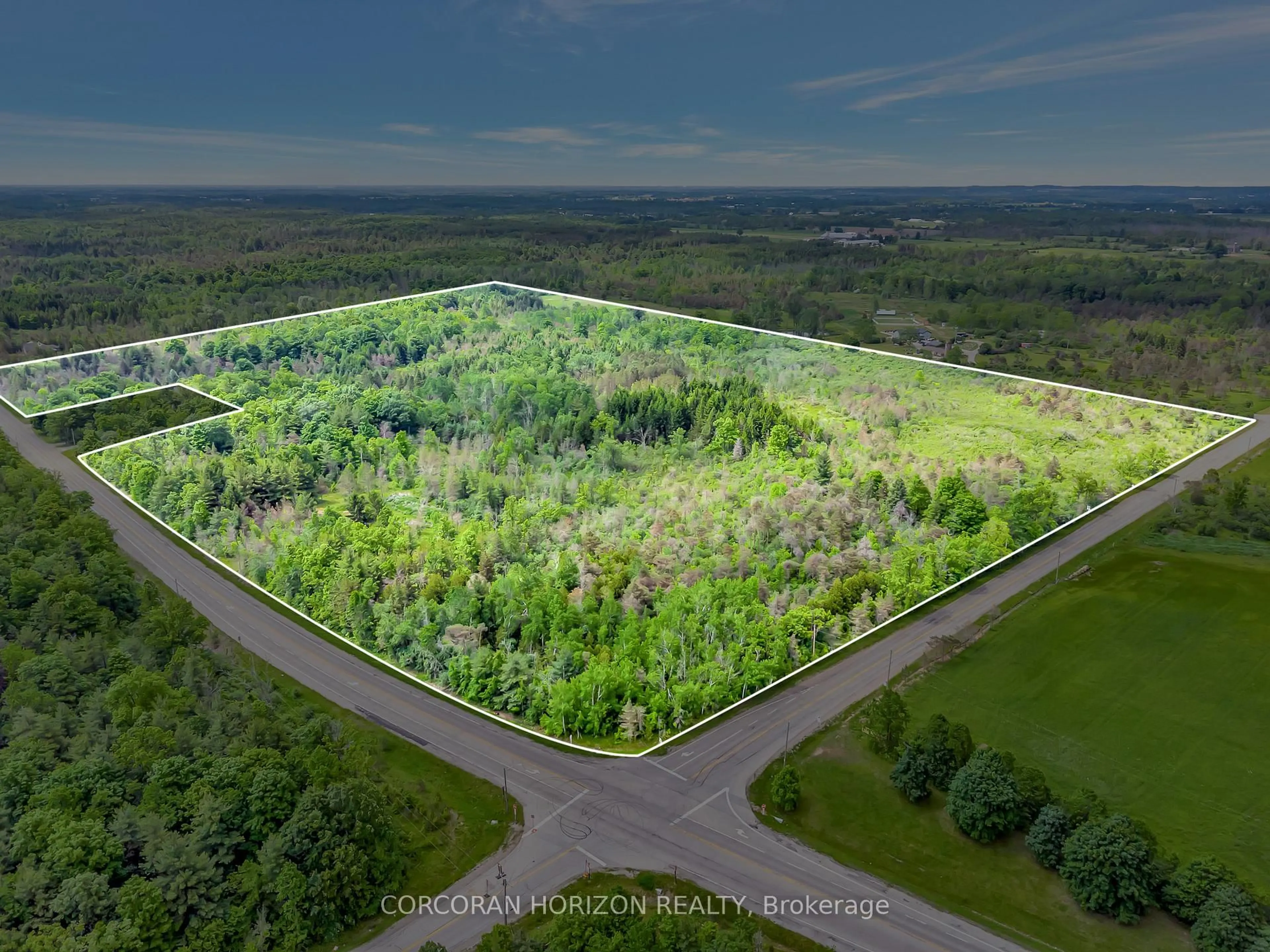 A pic from outside/outdoor area/front of a property/back of a property/a pic from drone, forest/trees view for 1297 Kirkwall Rd, Cambridge Ontario N1R 5S2