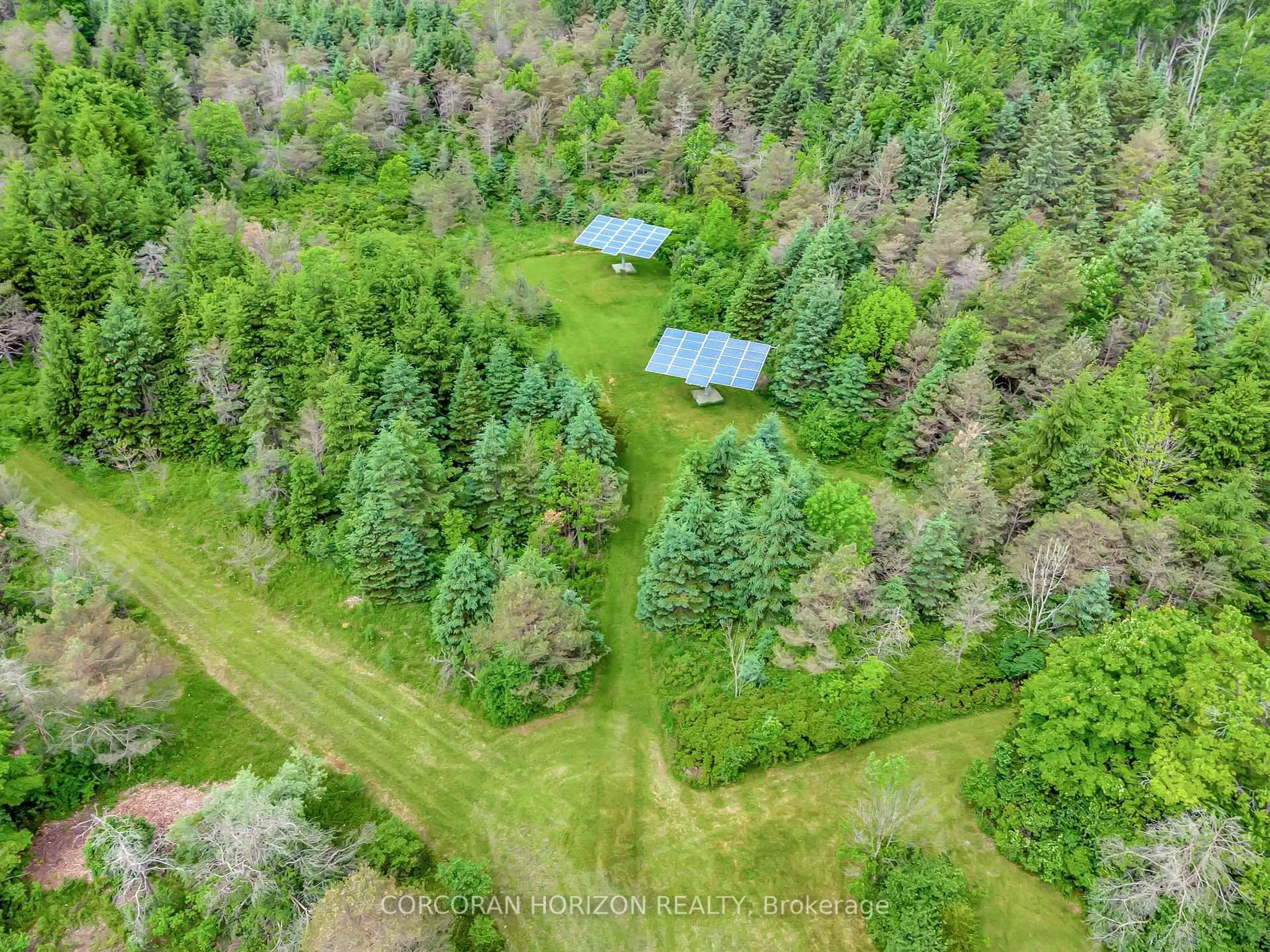 A pic from outside/outdoor area/front of a property/back of a property/a pic from drone, forest/trees view for 1297 Kirkwall Rd, Cambridge Ontario N1R 5S2