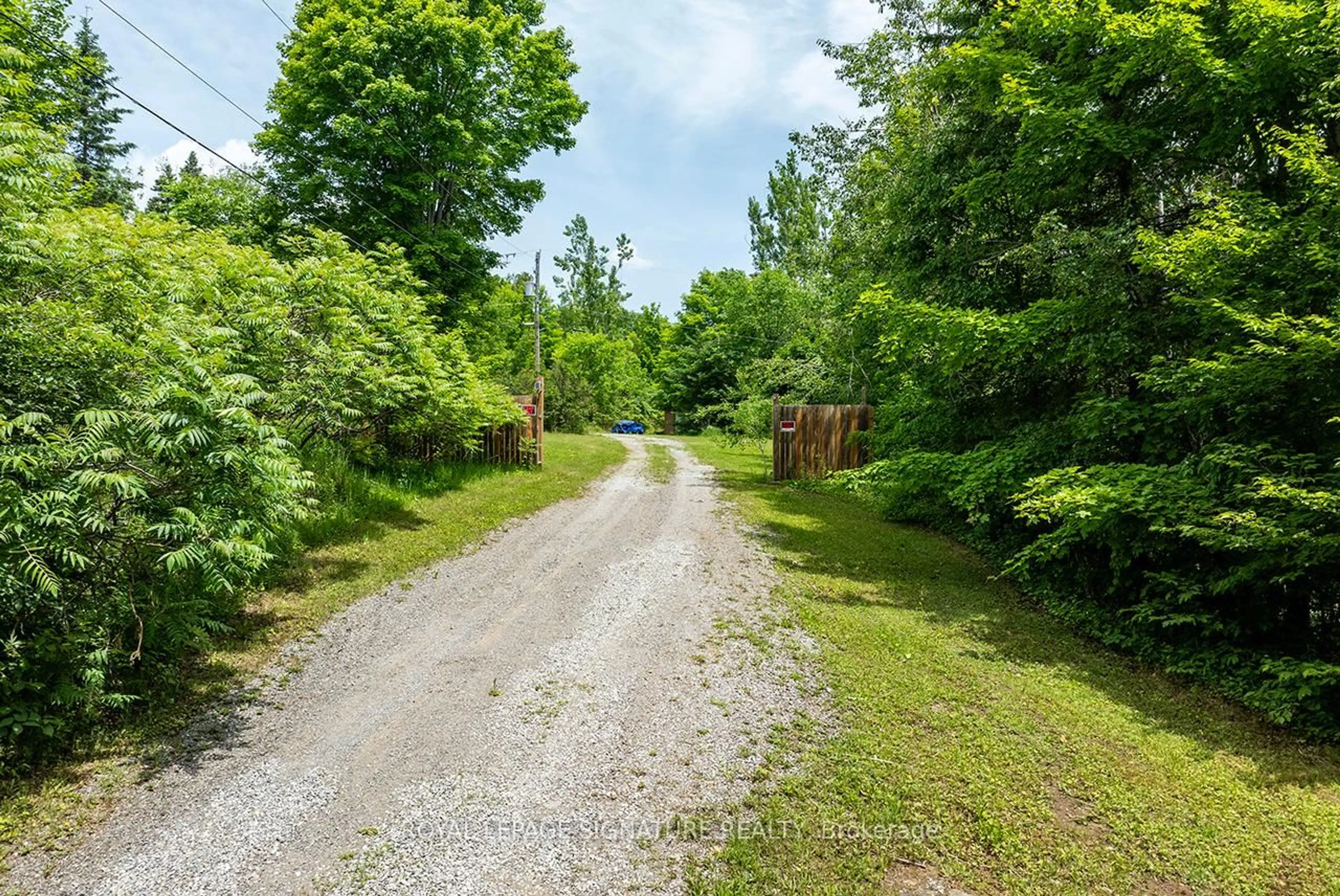 A pic from outside/outdoor area/front of a property/back of a property/a pic from drone, forest/trees view for 147 Buller Rd, Kawartha Lakes Ontario K0M 2L0
