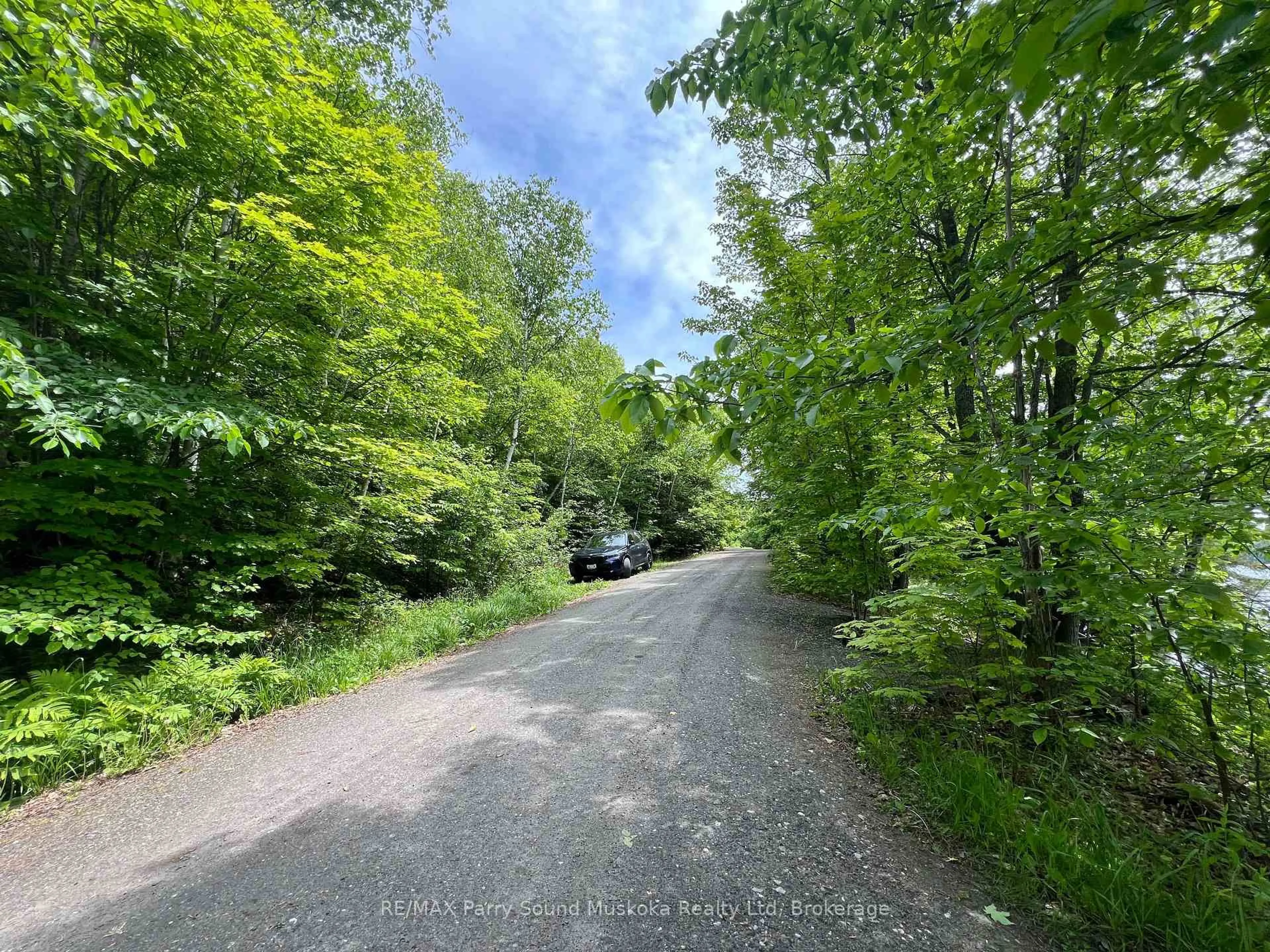 A pic from outside/outdoor area/front of a property/back of a property/a pic from drone, forest/trees view for 994 Toad Lake, Parry Sound Remote Area Ontario P0H 1S0
