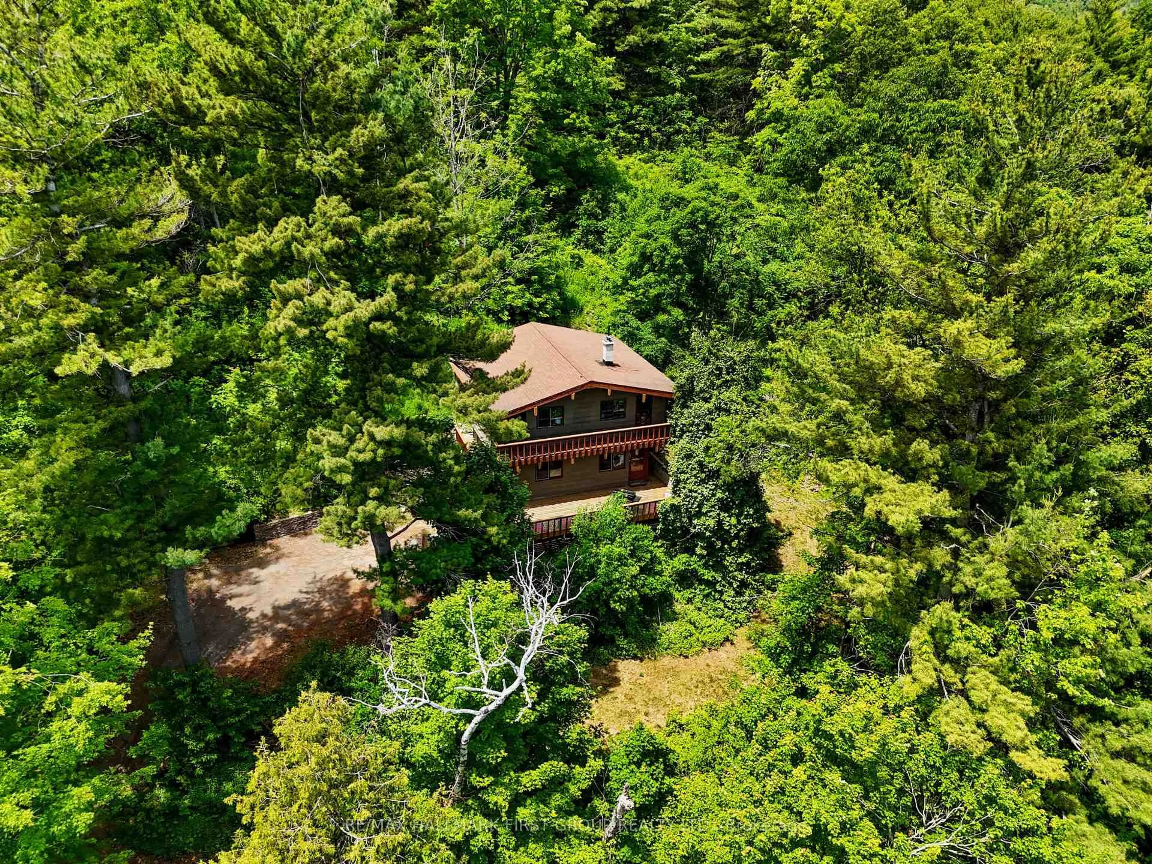 A pic from outside/outdoor area/front of a property/back of a property/a pic from drone, forest/trees view for 206 Pinnacle Hill Rd, Alnwick/Haldimand Ontario K0K 2G0