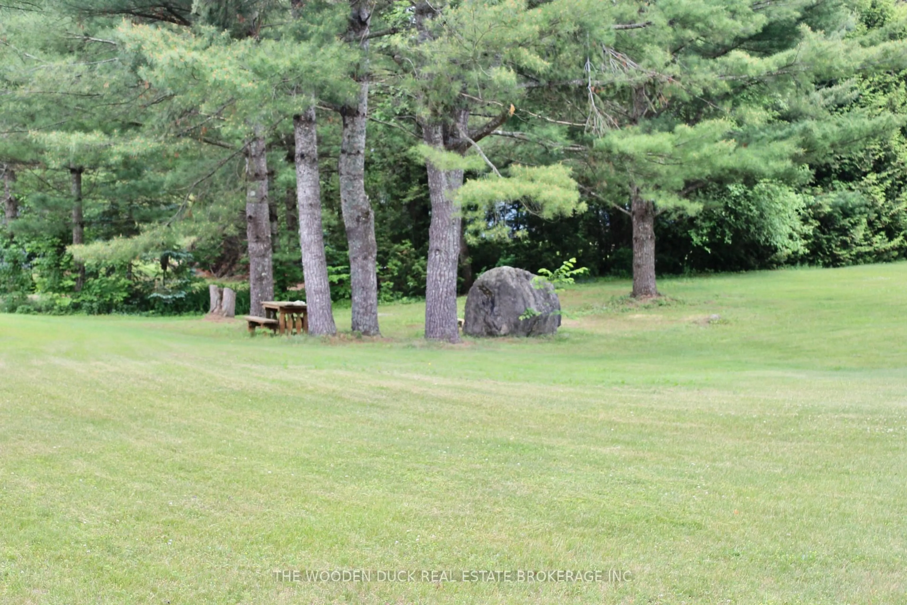 Patio, forest/trees view for 1044 County 40 Rd, Douro-Dummer Ontario K0L 2V0