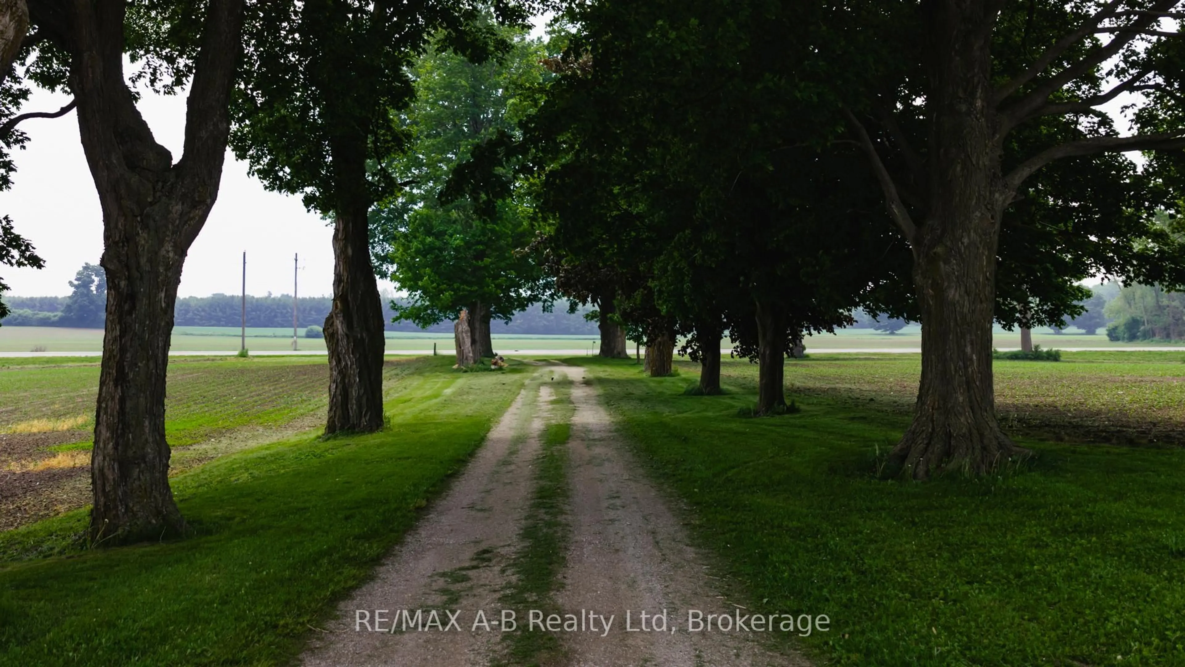 Blurry image for 17570 Elginfield Rd, Perth South Ontario N4X 1C6