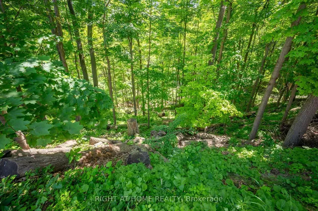 Additional image 13 of 85 Robinhood Dr