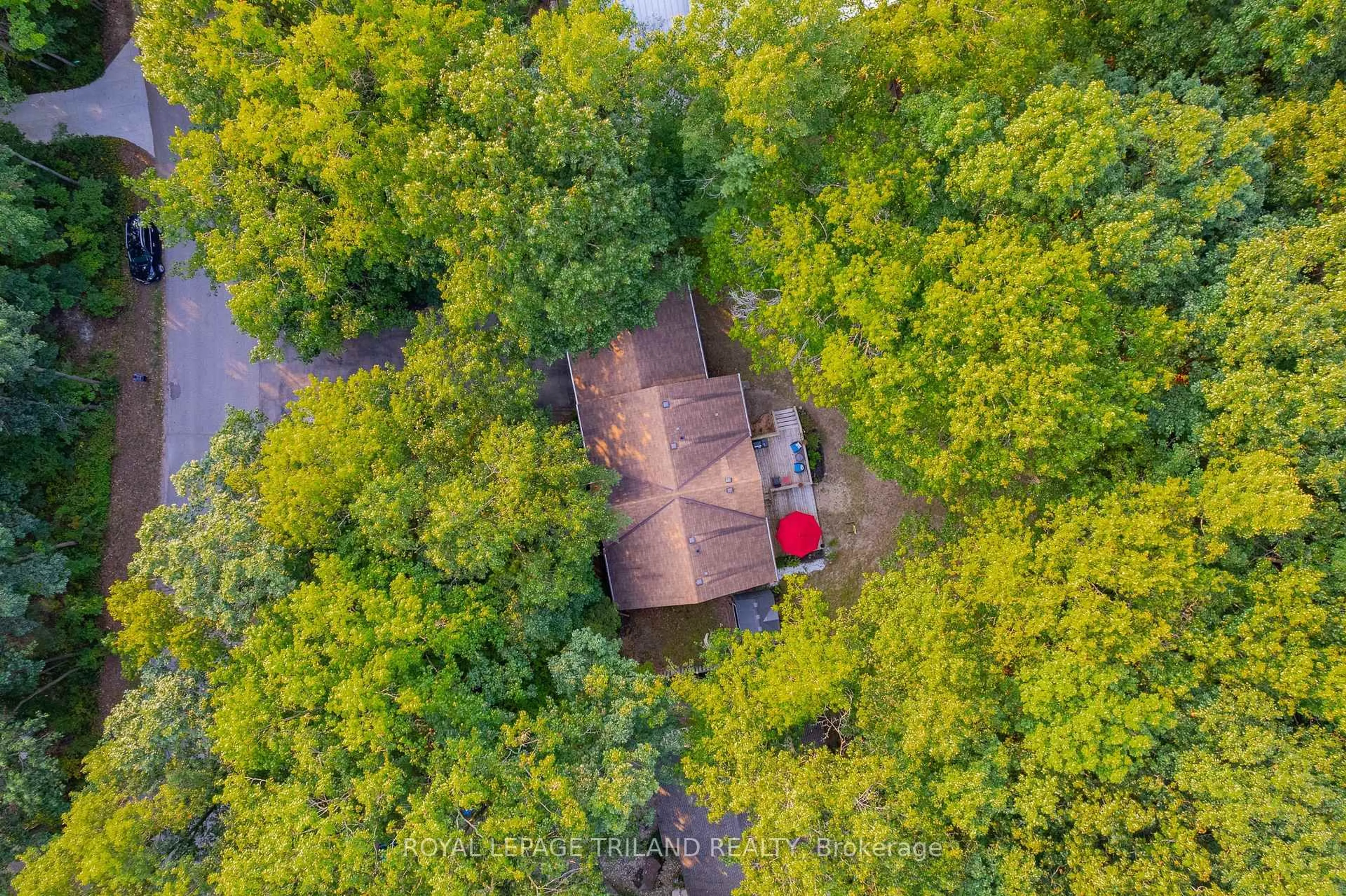 A pic from outside/outdoor area/front of a property/back of a property/a pic from drone, forest/trees view for 10248 Pinetree Dr, Lambton Shores Ontario N0M 1T0