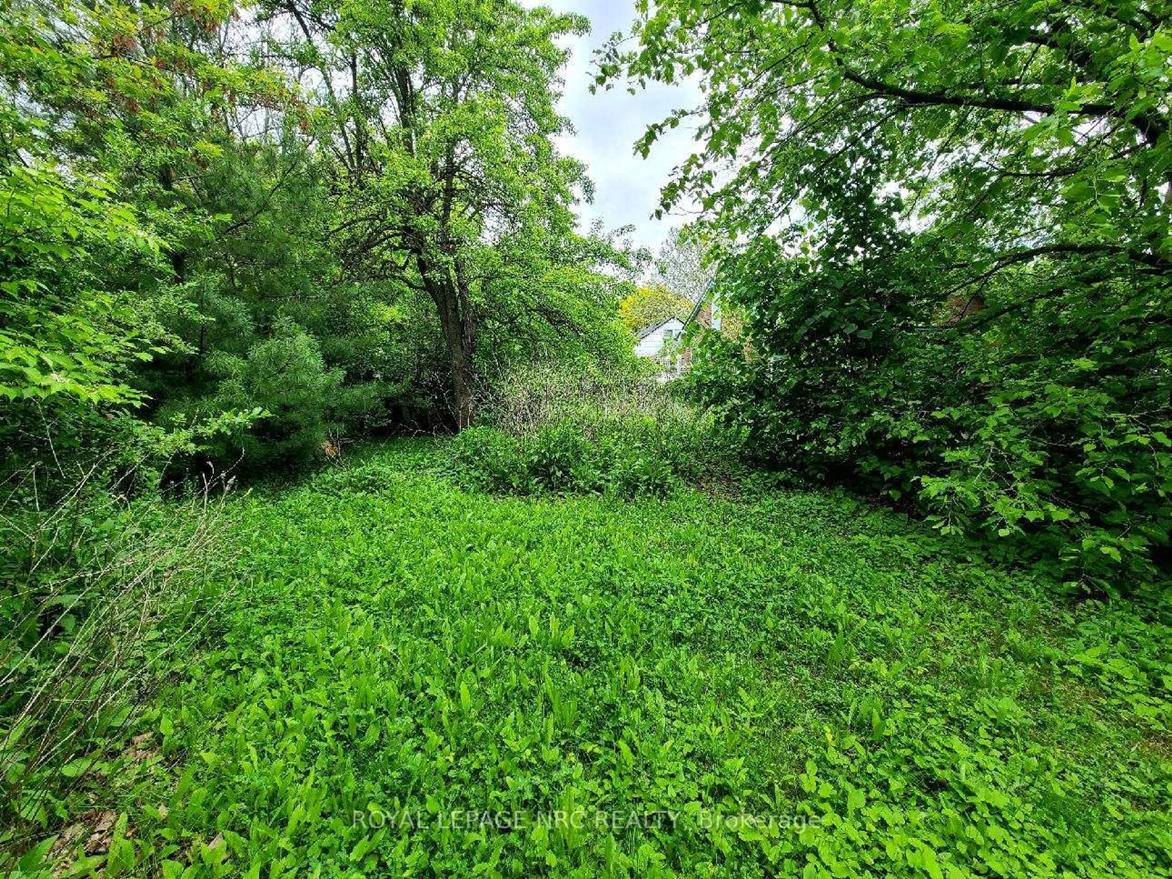A pic from outside/outdoor area/front of a property/back of a property/a pic from drone, forest/trees view for 19 Eastchester Ave, St. Catharines Ontario L2P 2V7