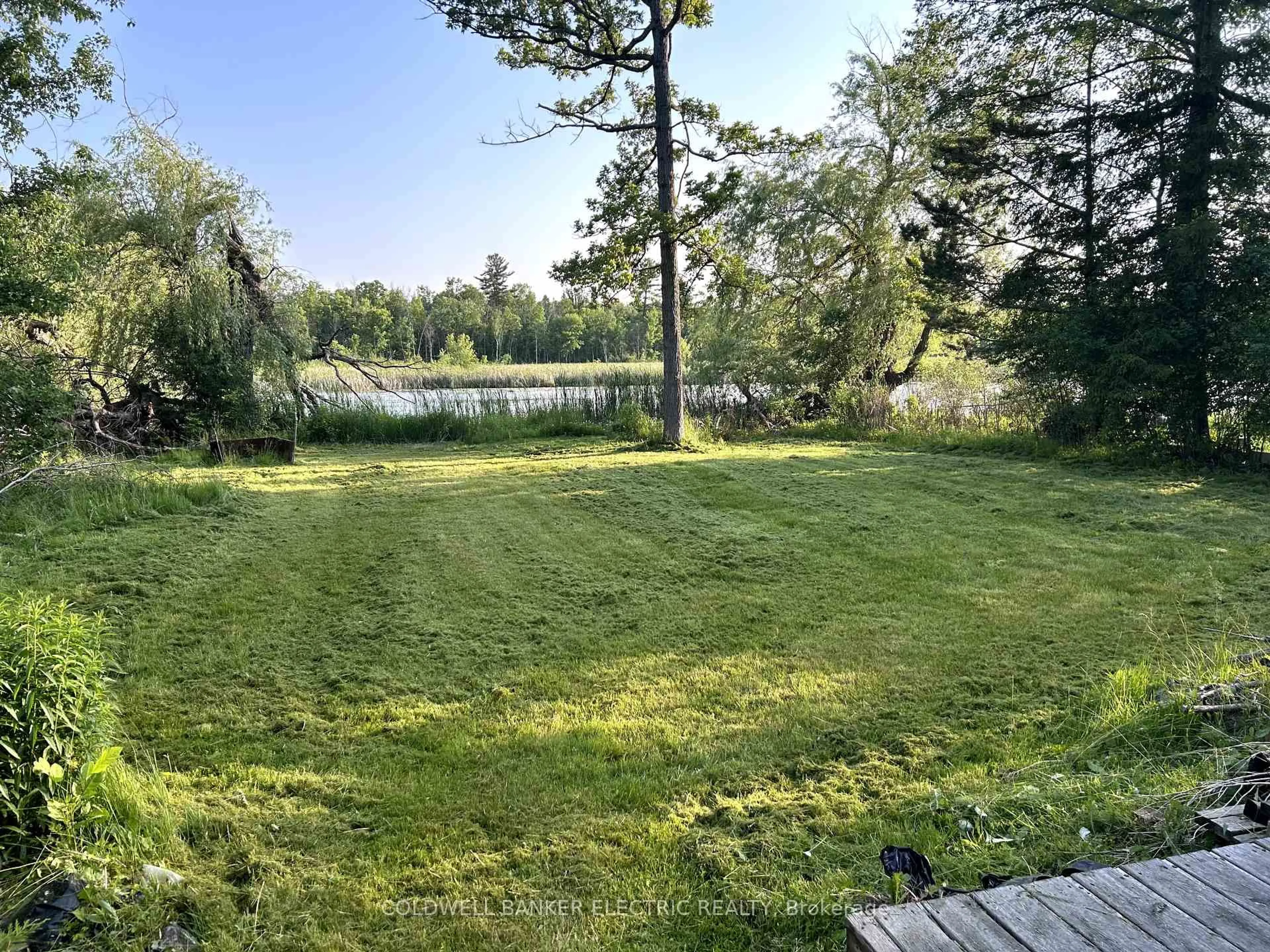 A pic from outside/outdoor area/front of a property/back of a property/a pic from drone, water/lake/river/ocean view for 251 River Rd, Trent Hills Ontario K0L 1L0