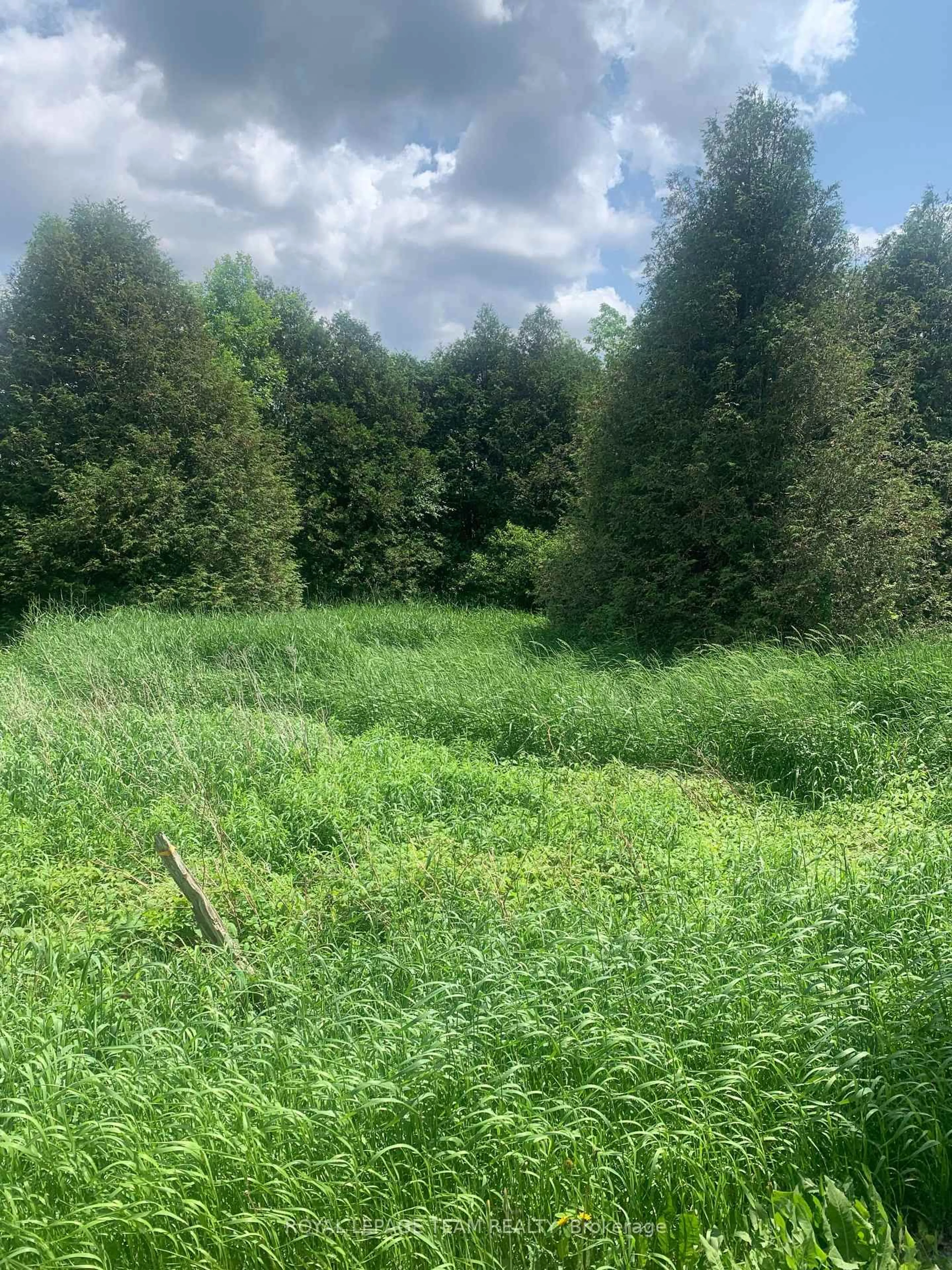 A pic from outside/outdoor area/front of a property/back of a property/a pic from drone, forest/trees view for CON7LT2 Bolton Rd, Merrickville-Wolford Ontario K0G 1N0