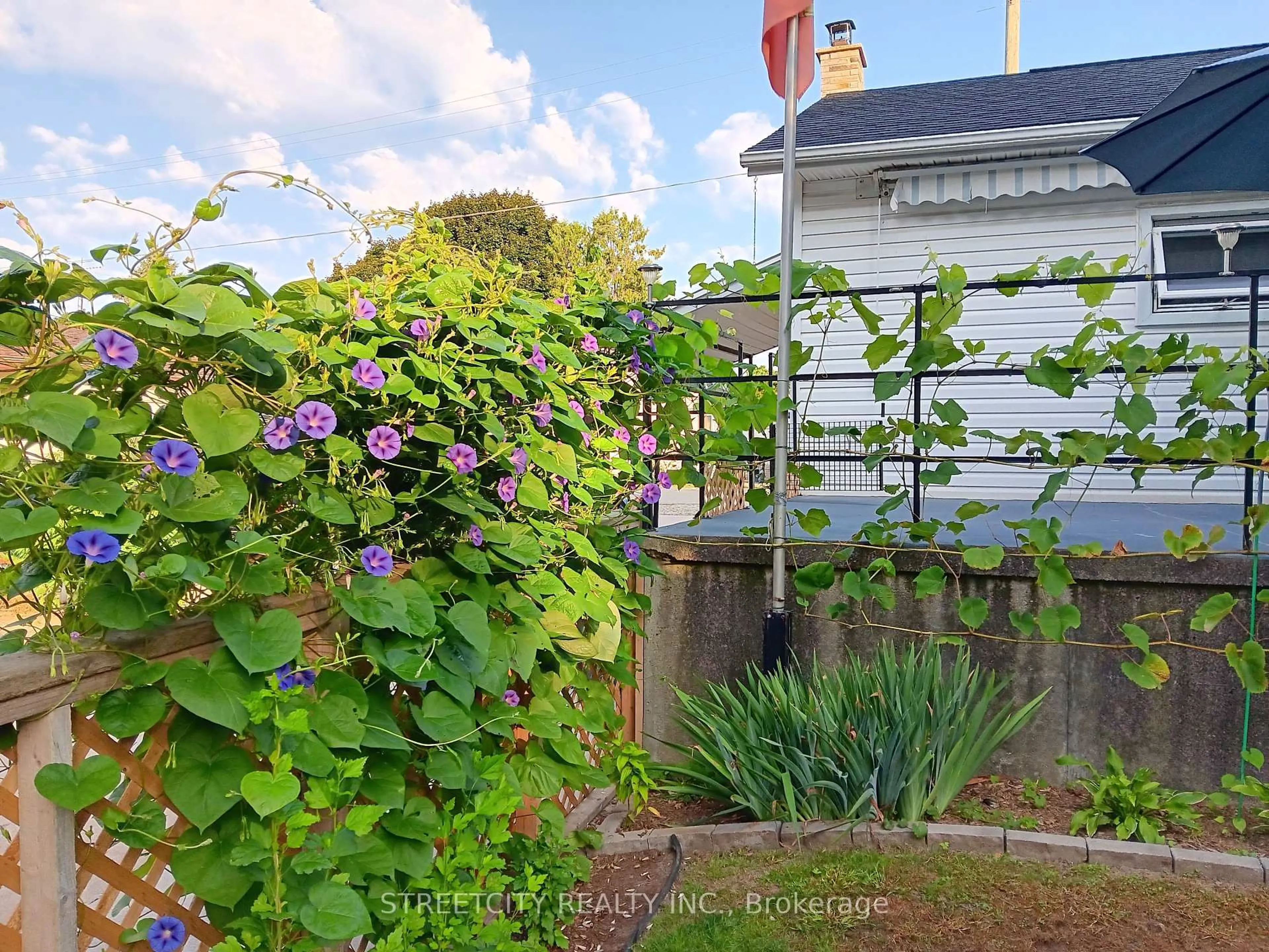 A pic from outside/outdoor area/front of a property/back of a property/a pic from drone, street for 156 Maple St, West Elgin Ontario N0L 2C0