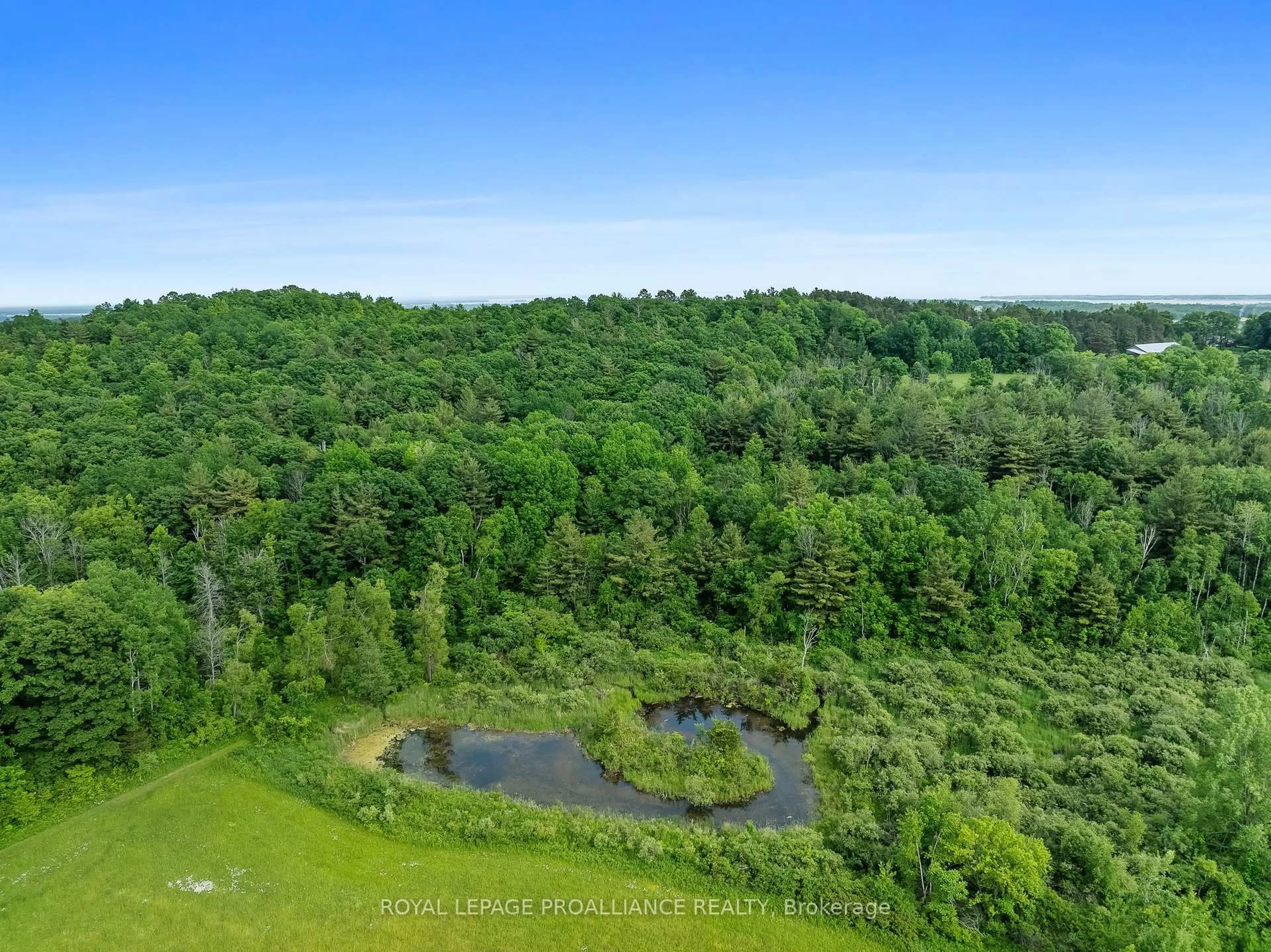 A pic from outside/outdoor area/front of a property/back of a property/a pic from drone, forest/trees view for 748 County Rd 26, Brighton Ontario K0K 1H0