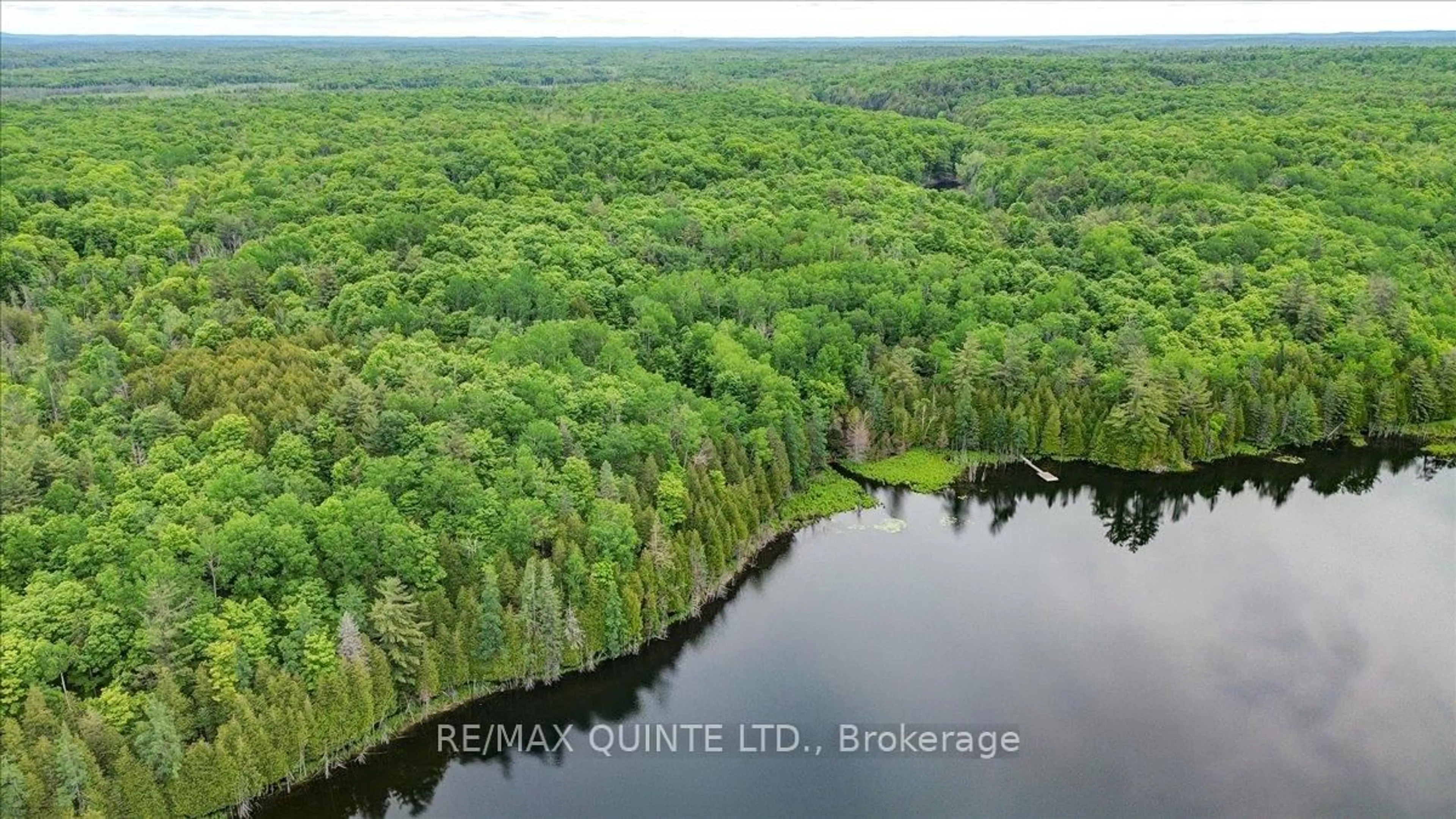 A pic from outside/outdoor area/front of a property/back of a property/a pic from drone, water/lake/river/ocean view for 6798 Old Hastings Rd, Madoc Ontario K0K 1Y0