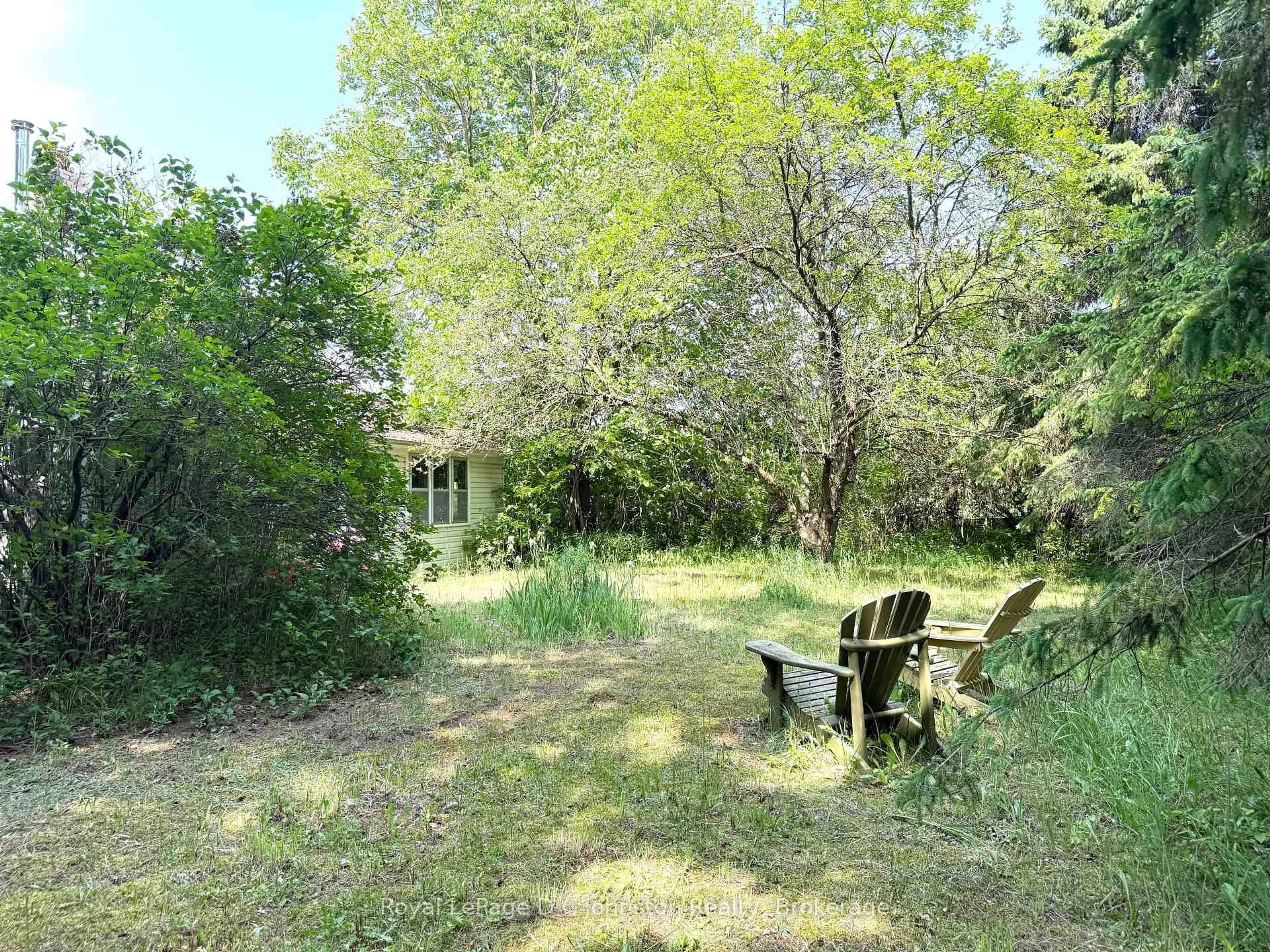 Patio, forest/trees view for 381479 Concession 4 NDR Concession, West Grey Ontario N4N 3B9