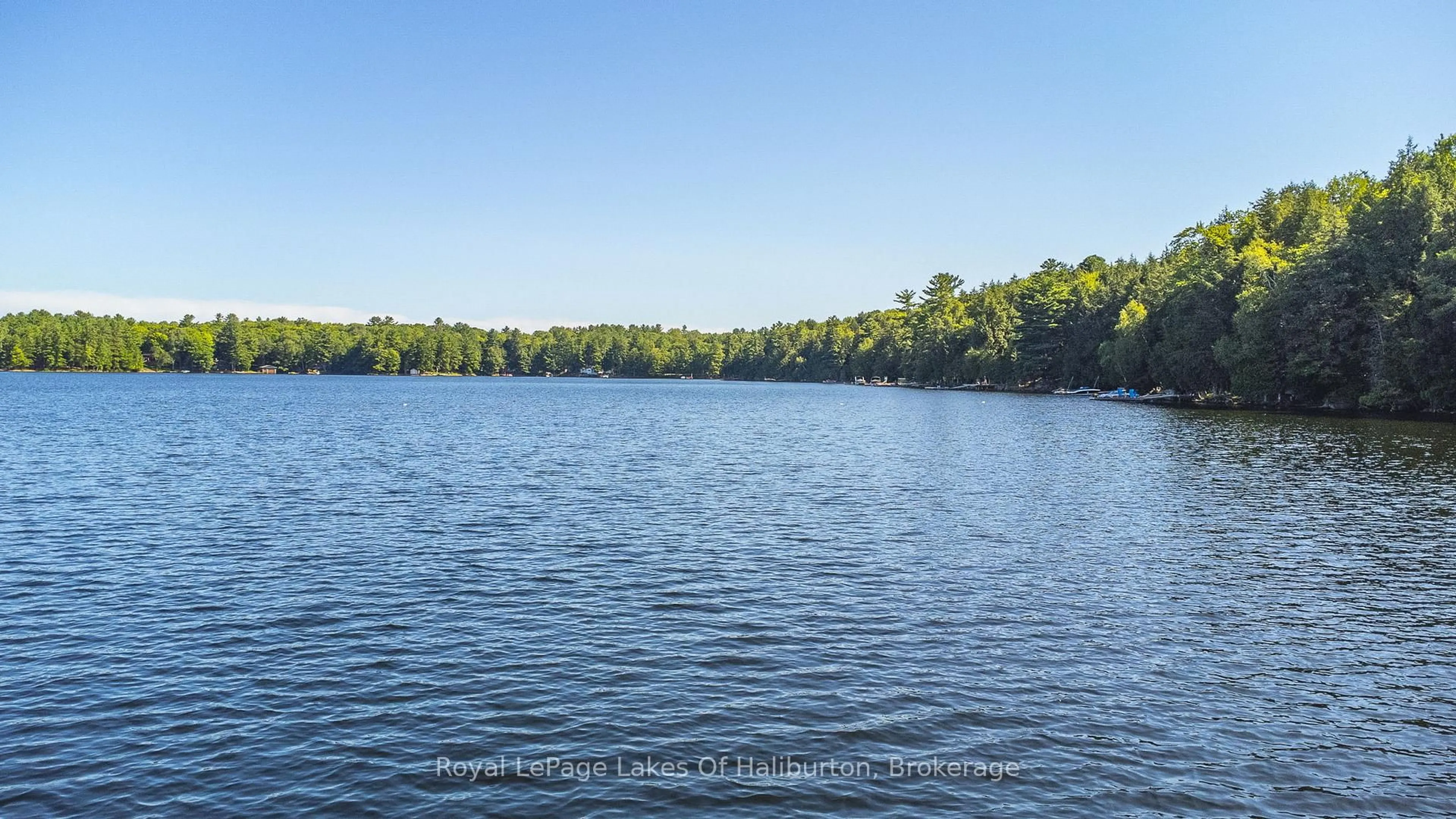 Blurry image for 1358 Kushog Lake Rd, Algonquin Highlands Ontario K0M 1S0