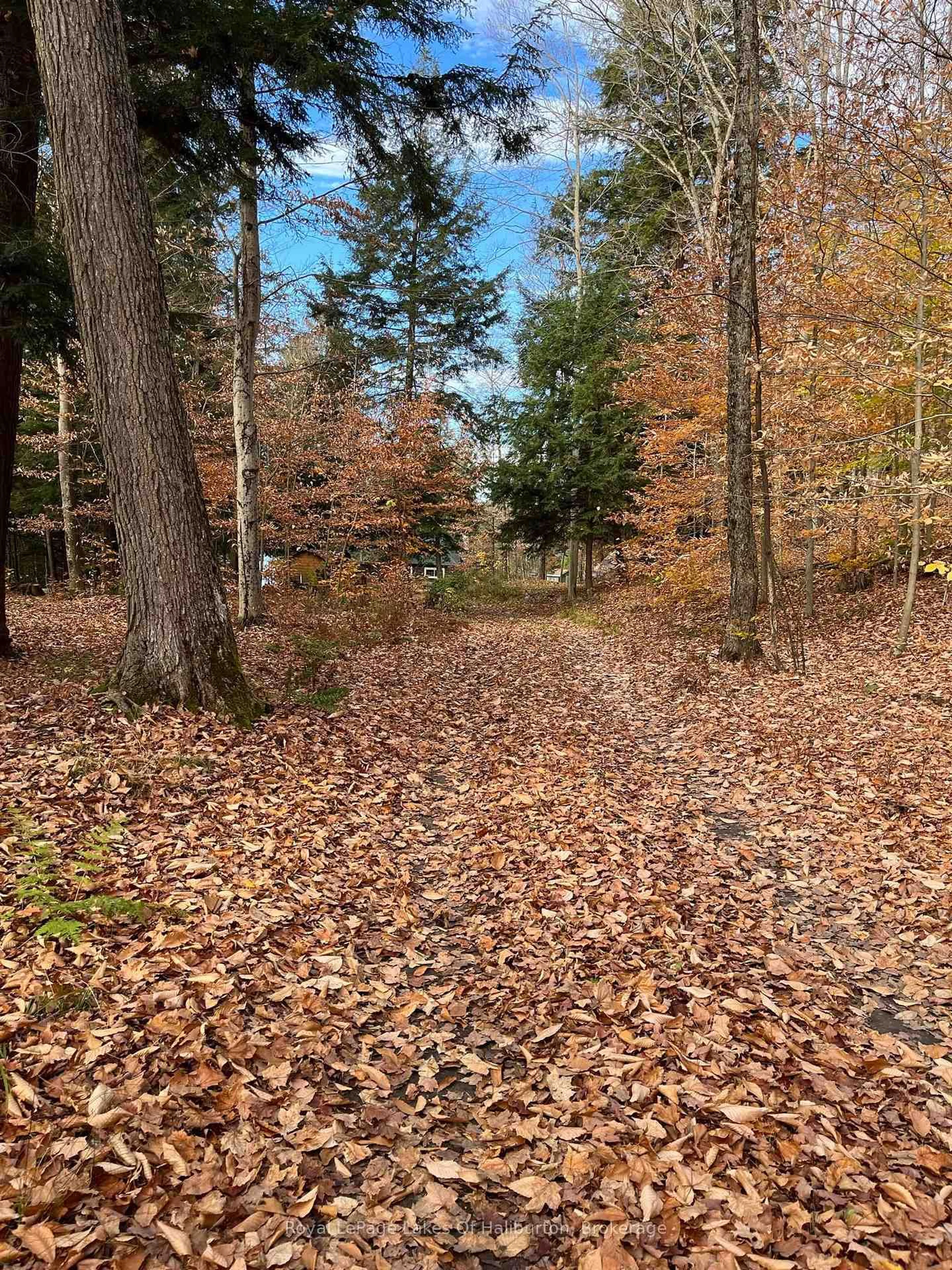 Unknown for 1358 Kushog Lake Rd, Algonquin Highlands Ontario K0M 1S0
