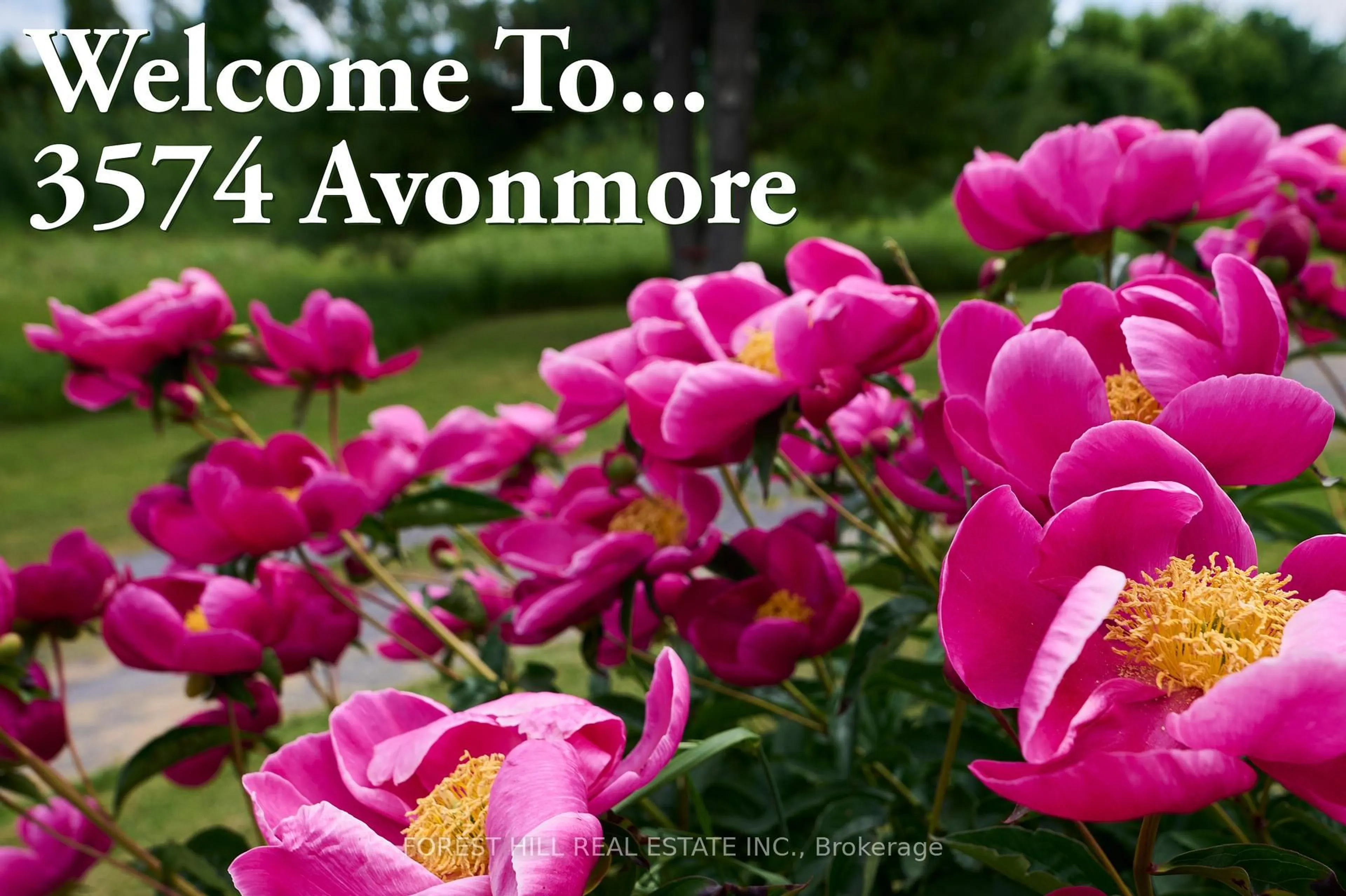 Indoor foyer for 3574 Avonmore Rd, North Stormont Ontario K0C 1C0