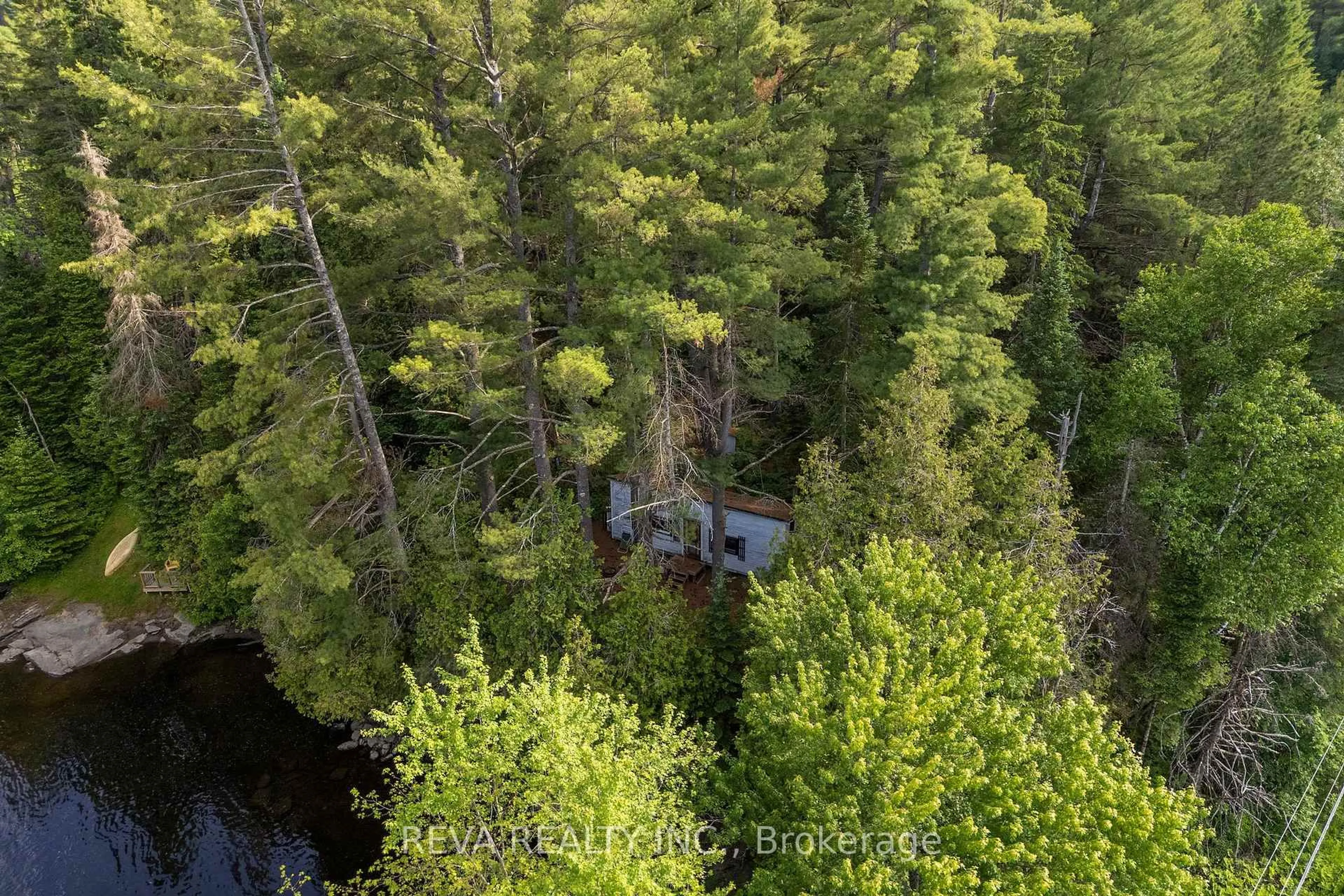 A pic from outside/outdoor area/front of a property/back of a property/a pic from drone, forest/trees view for 35532 Highway 28 Highway, Carlow/Mayo Ontario K0L 2M0
