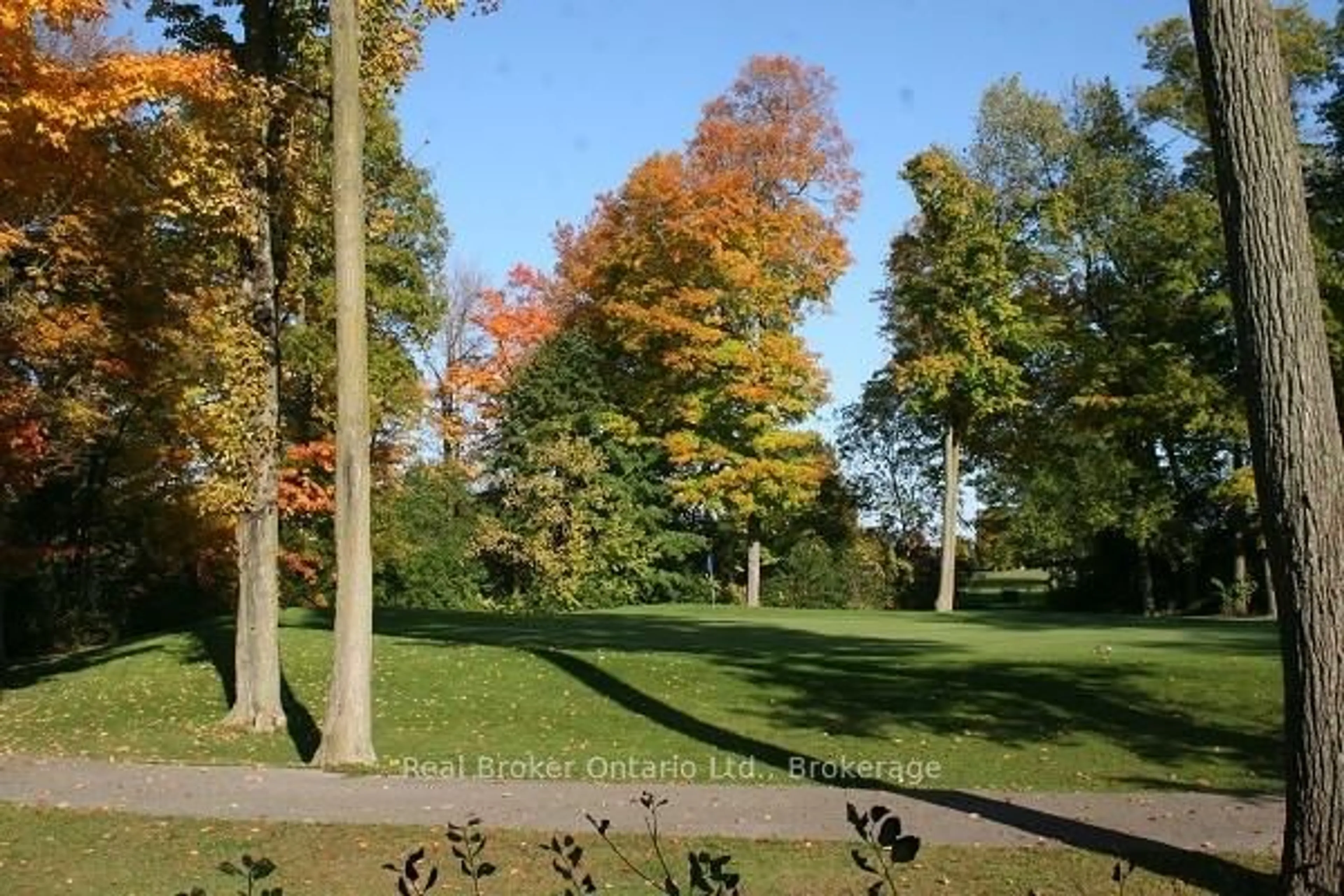 Patio, forest/trees view for 350 Doon Valley Dr #002F, Kitchener Ontario N2P 2M9