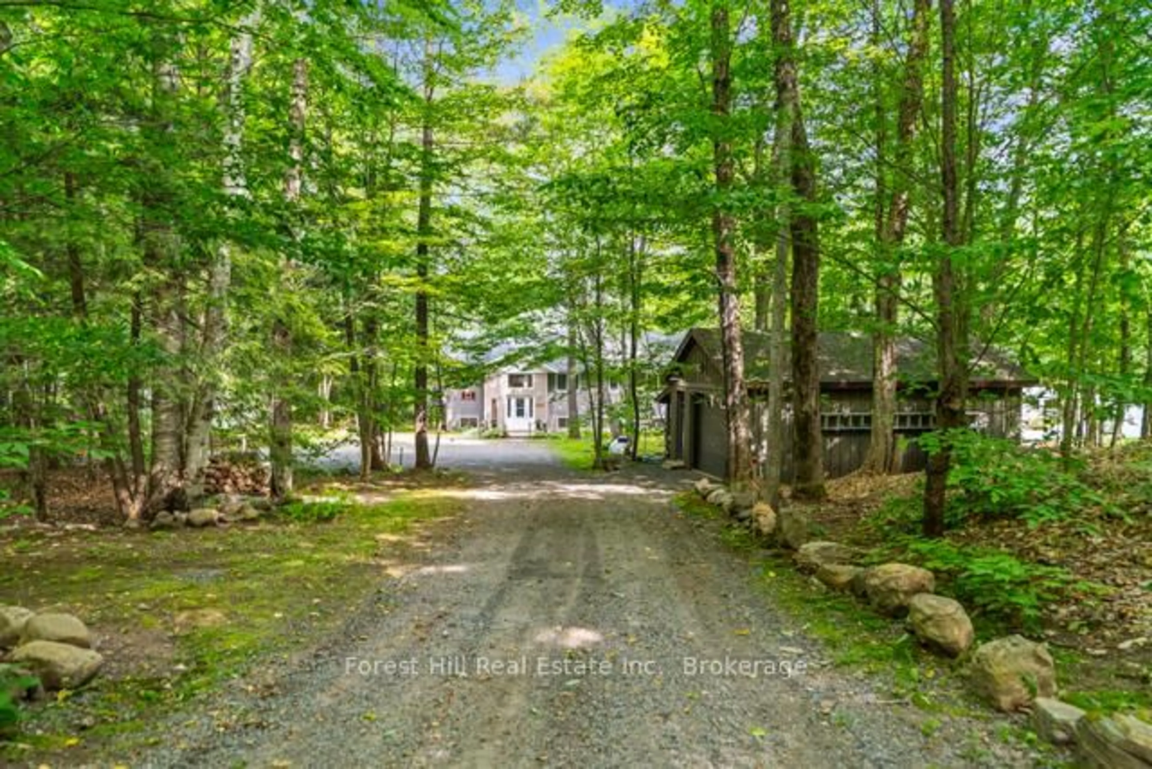A pic from outside/outdoor area/front of a property/back of a property/a pic from drone, forest/trees view for 1137 Dickie Lake Rd, Lake of Bays Ontario P0B 1E0