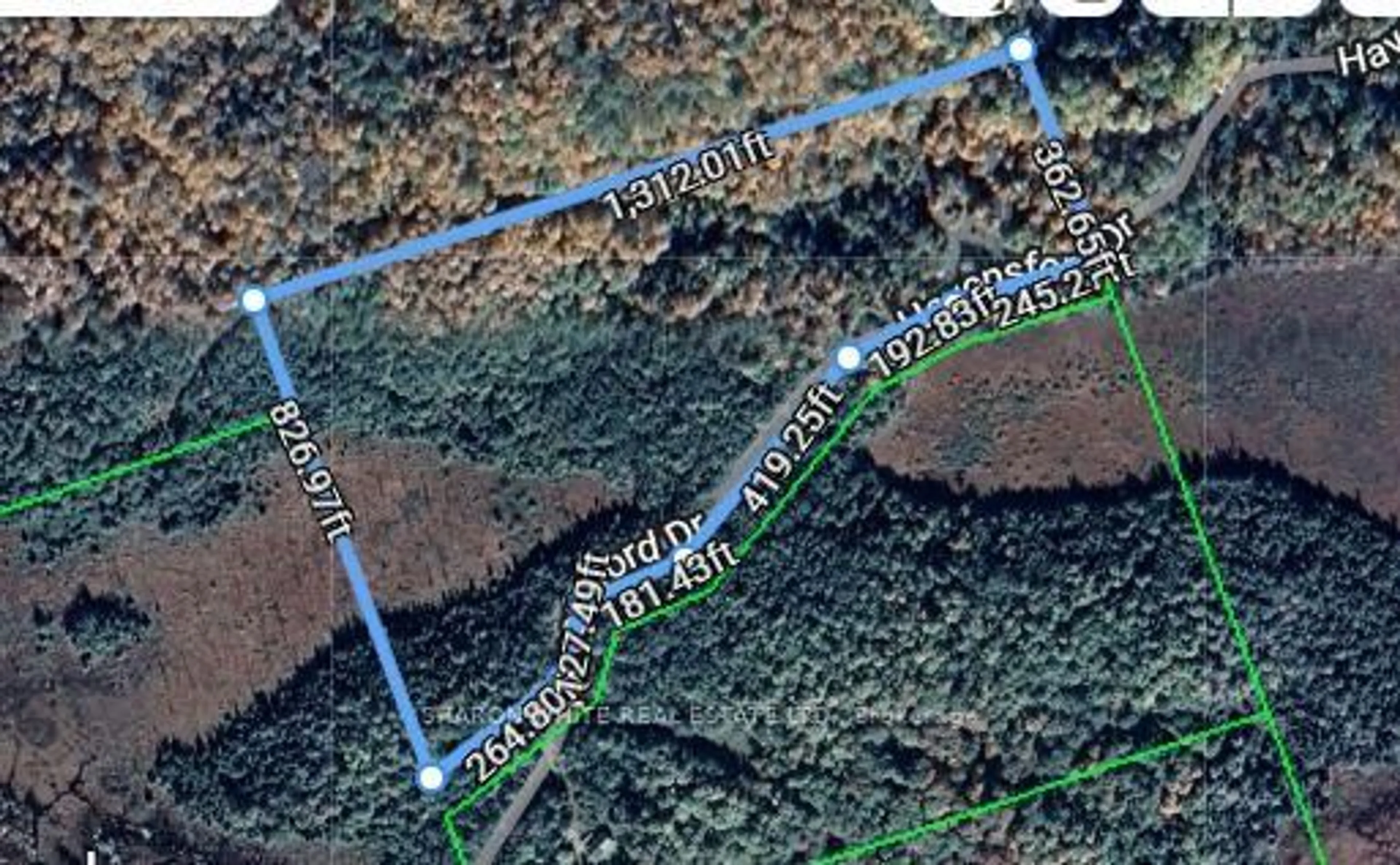 A pic from outside/outdoor area/front of a property/back of a property/a pic from drone, forest/trees view for 1374 Havensford Dr, Highlands East Ontario K0L 1M0
