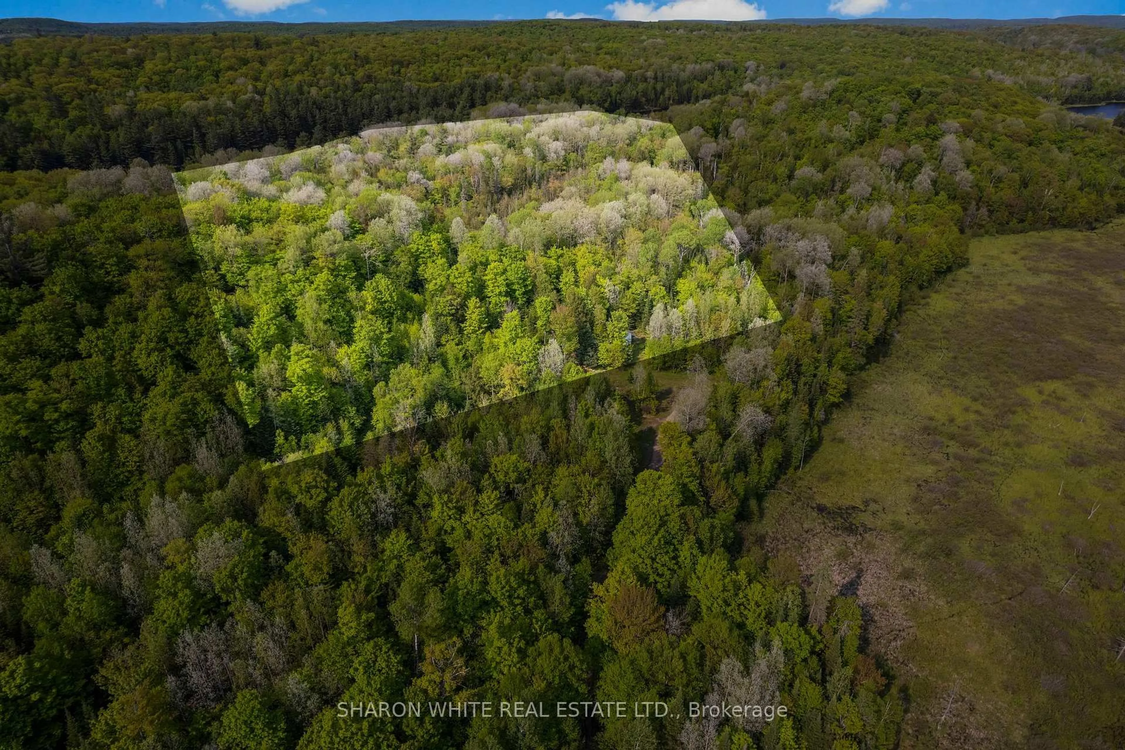 A pic from outside/outdoor area/front of a property/back of a property/a pic from drone, forest/trees view for 1374 Havensford Dr, Highlands East Ontario K0L 1M0
