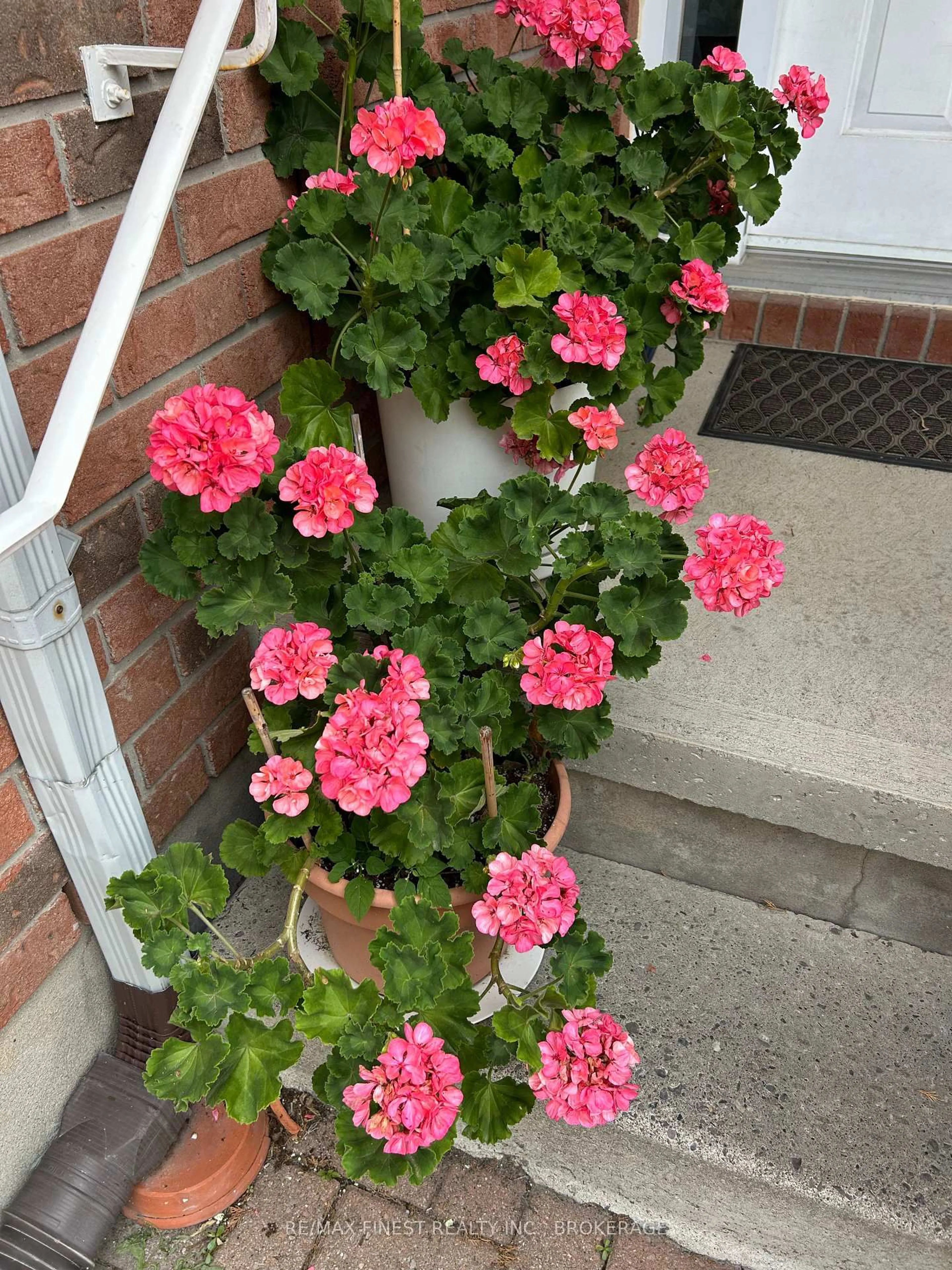 Stairs for 121 Rideau St, Kingston Ontario K7K 7B2