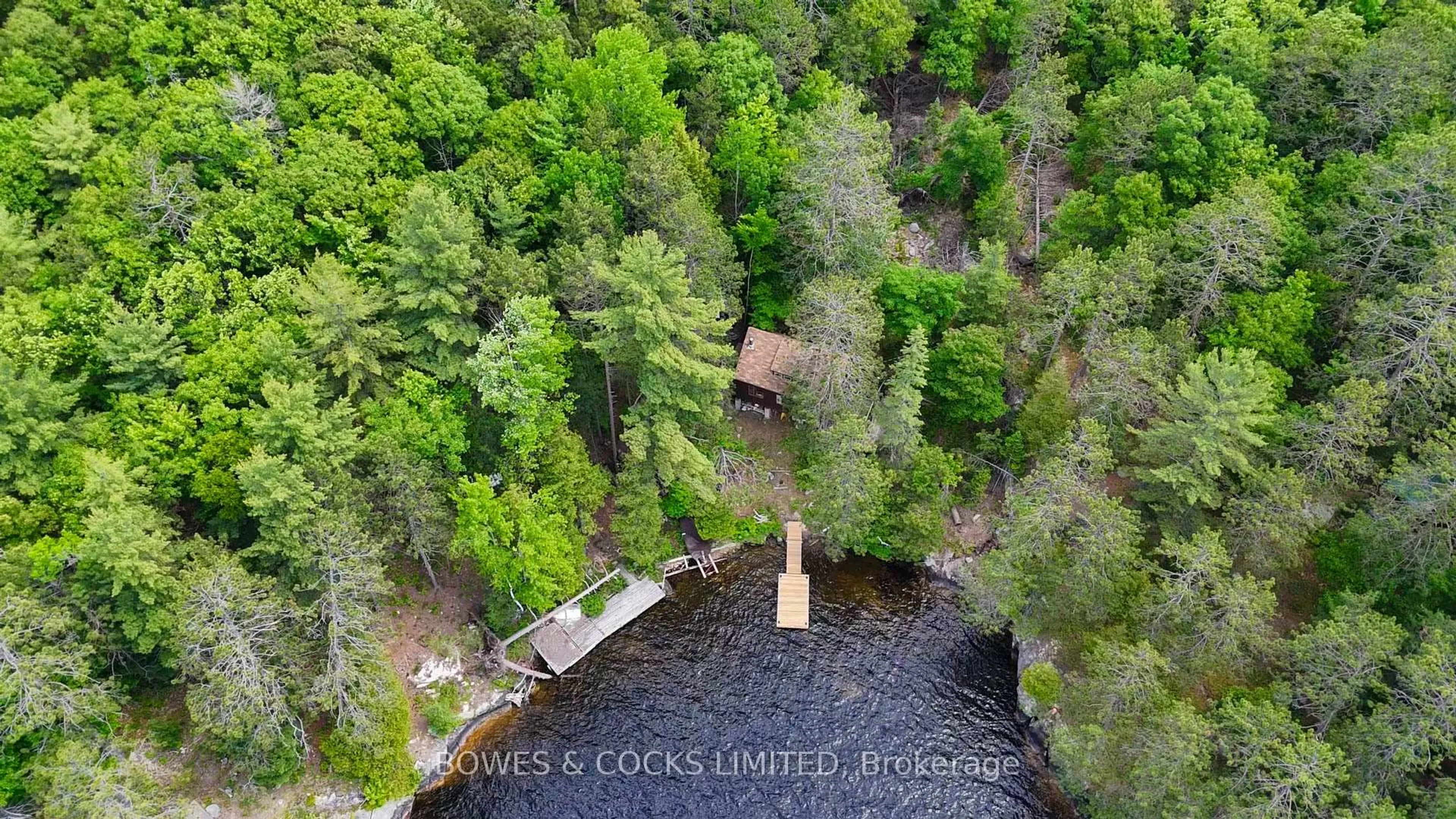 A pic from outside/outdoor area/front of a property/back of a property/a pic from drone, forest/trees view for 278 Weslemkoon Lake WAO, Hastings Ontario K0L 1W0