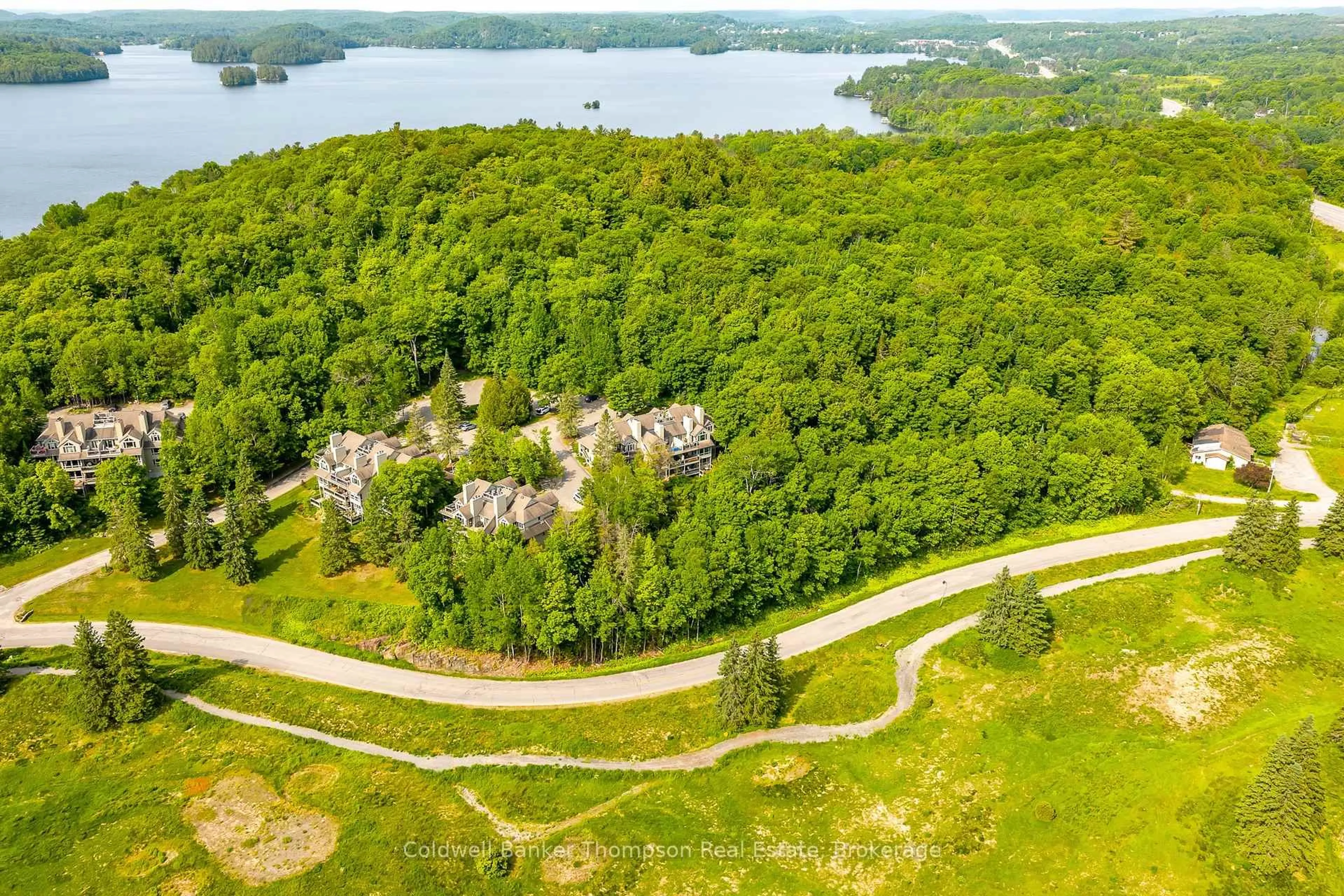 A pic from outside/outdoor area/front of a property/back of a property/a pic from drone, water/lake/river/ocean view for 3931 Grandview Forest Hill Dr, Huntsville Ontario P1H 2N5