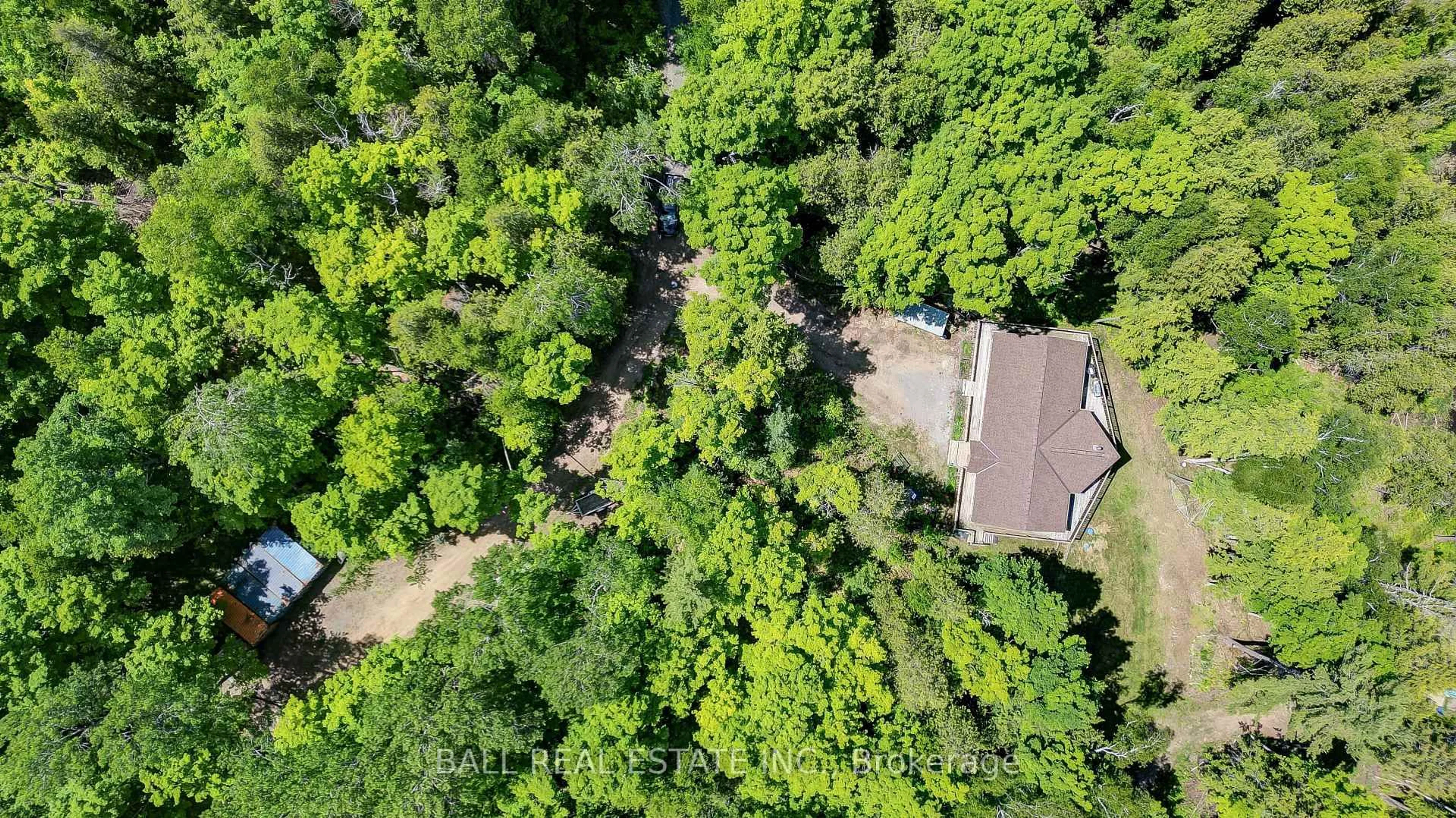 A pic from outside/outdoor area/front of a property/back of a property/a pic from drone, forest/trees view for 110 Lillian Lane, Hastings Ontario K0L 1W0