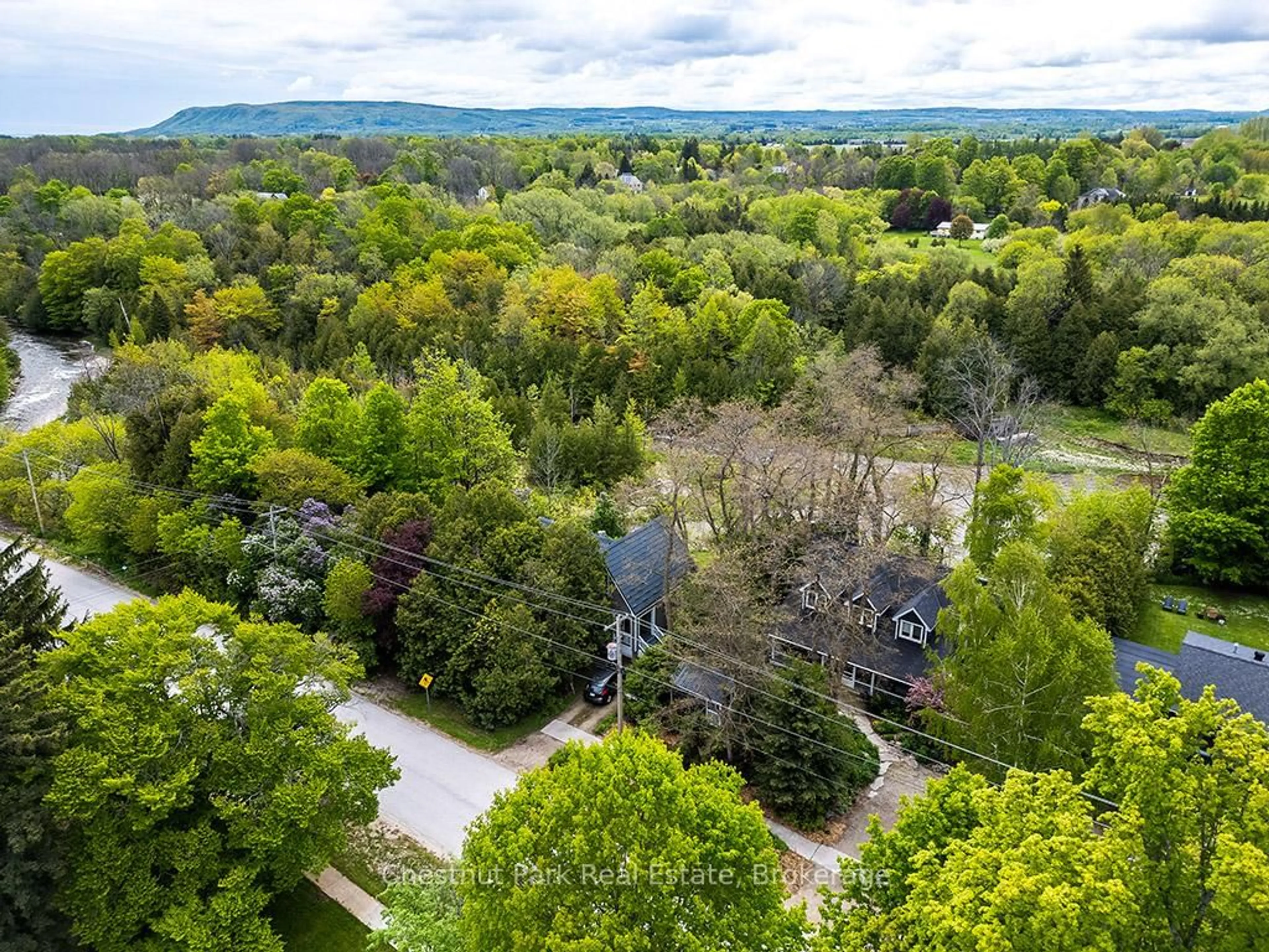 A pic from outside/outdoor area/front of a property/back of a property/a pic from drone, forest/trees view for 114 Clark St, Blue Mountains Ontario N0H 1J0