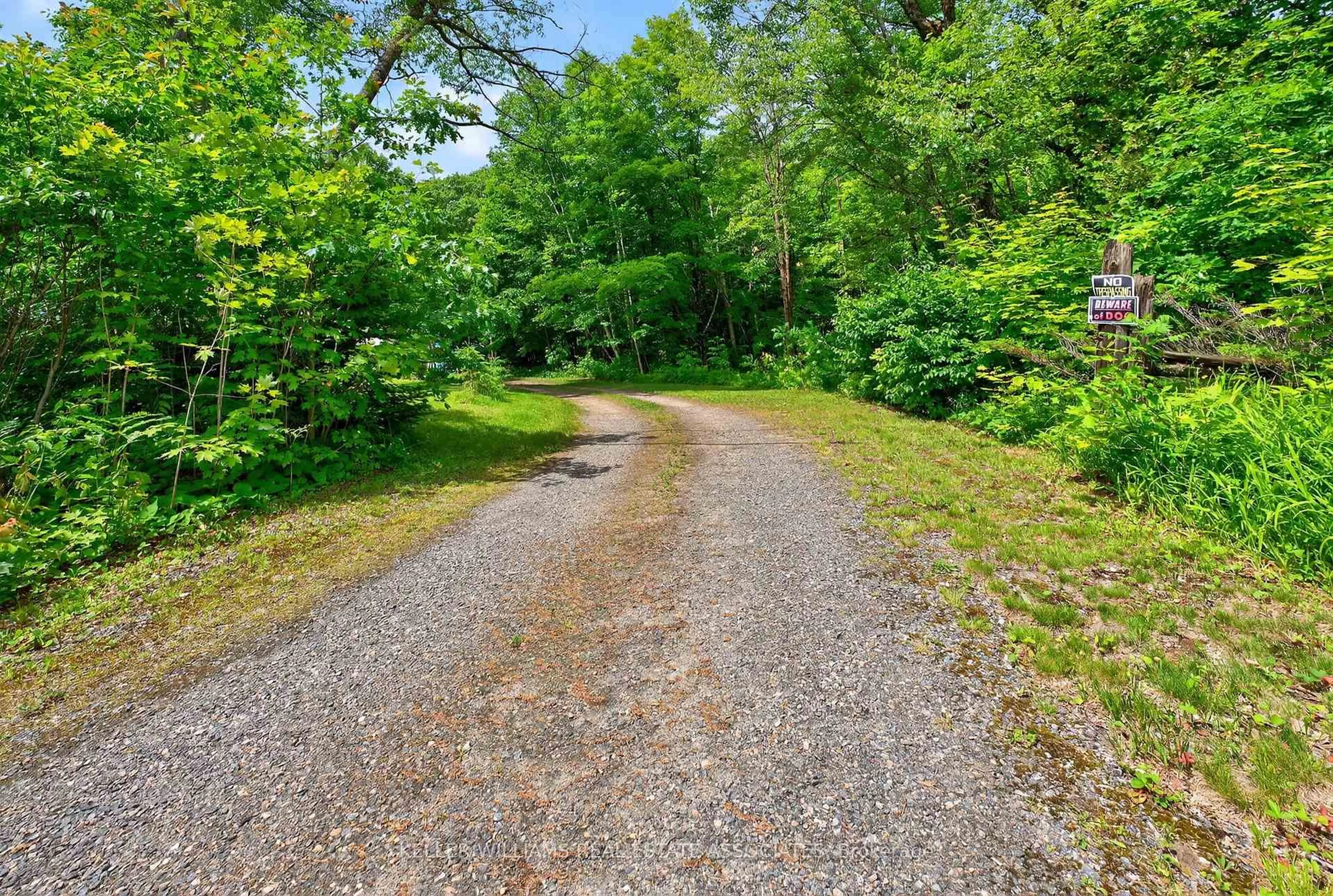 A pic from outside/outdoor area/front of a property/back of a property/a pic from drone, forest/trees view for 17377 35 Highway, Algonquin Highlands Ontario K0M 1J2